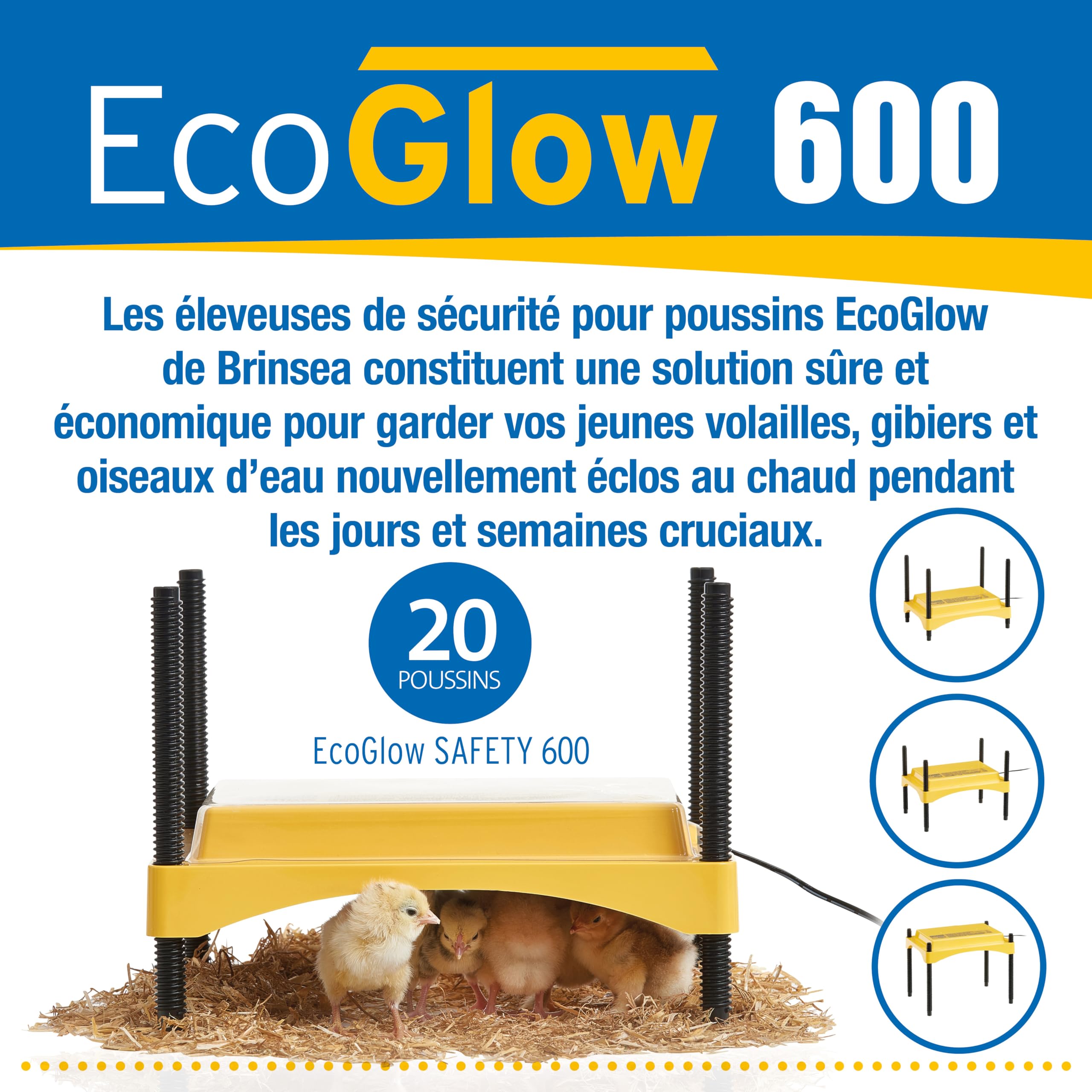 Criadora Brinsea EcoGlow Safety 600 – Criadora de seguridad para pollitos – Placa calefactora para pollitos como alternativa a la lámpara de calor – Fabricada en UK – Garantía de 3 años.