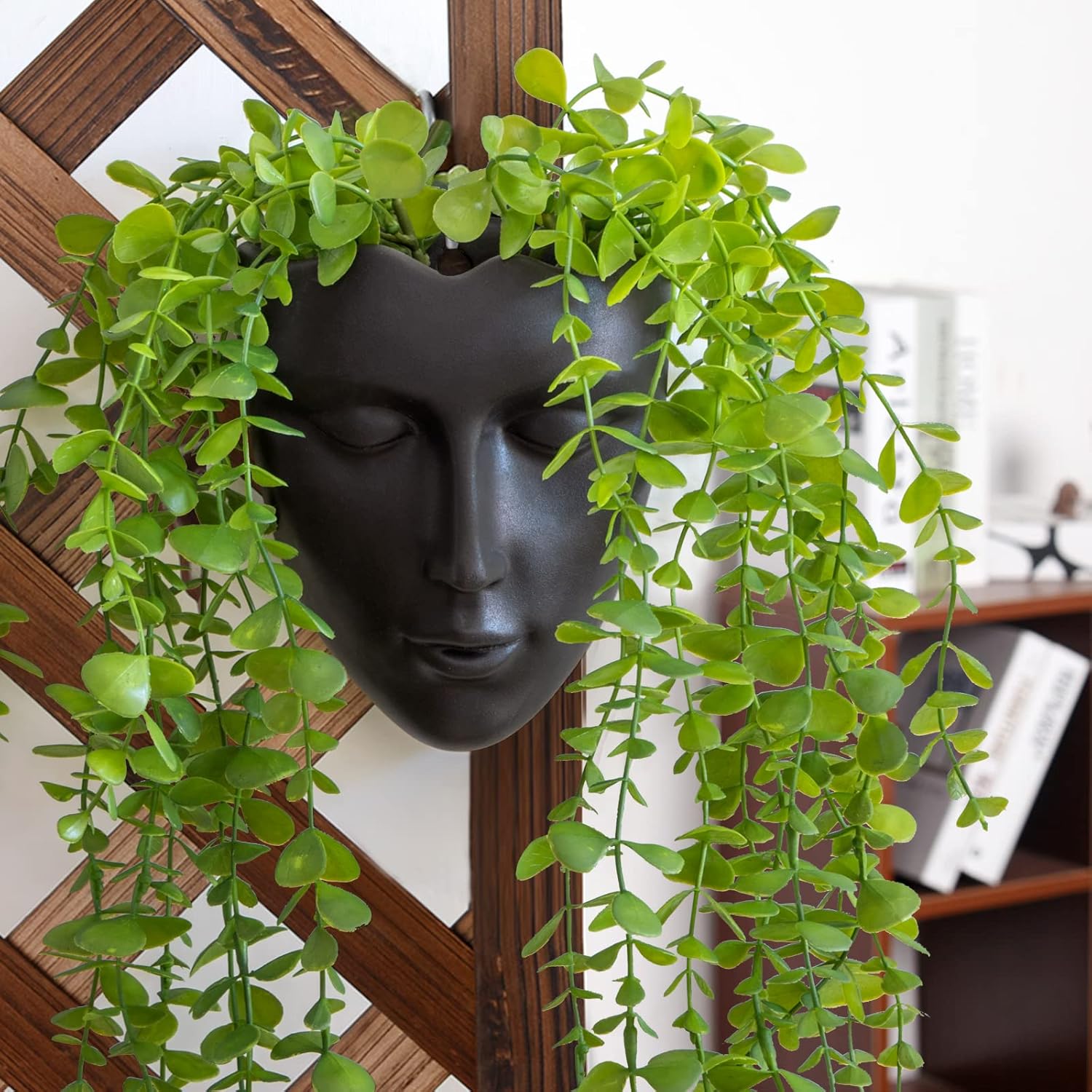Modern Hanging Plant Holder Wall Planters for Indoor Plants, Multifunctional Wall Plant Holders and Hanging Planters Perfect for Hanging Planters and Mounted Decor (Black, Face vase)