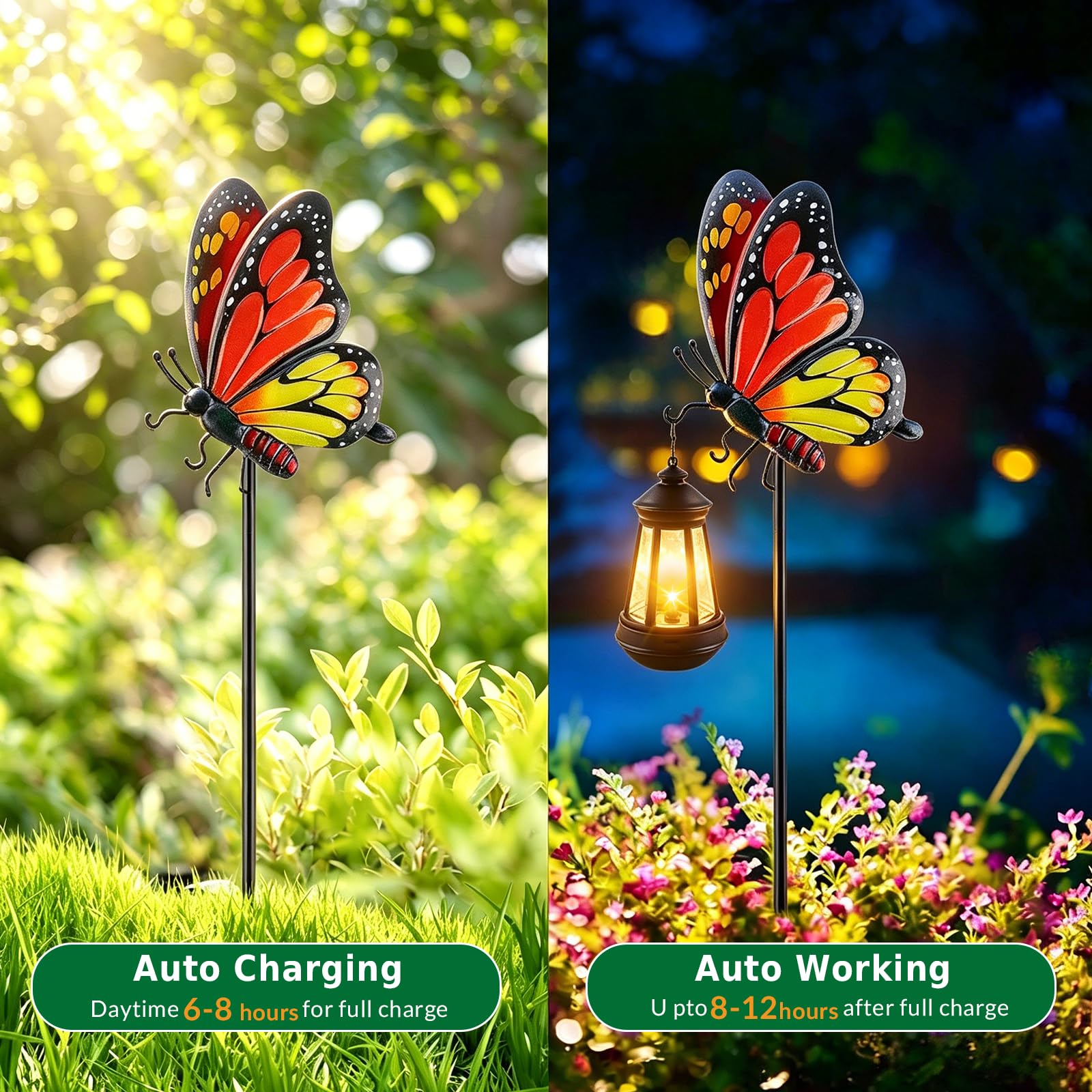 View 5