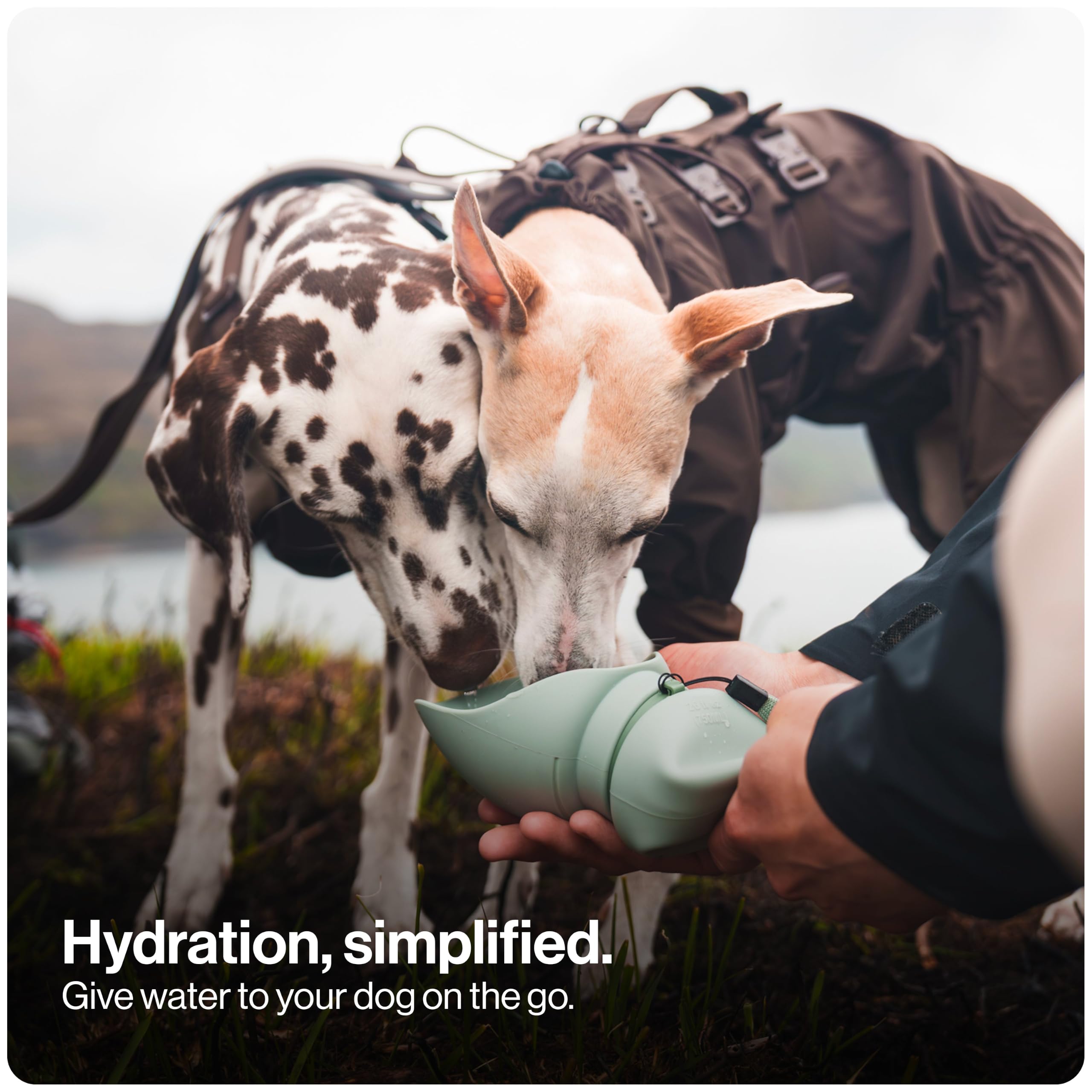 SÄKER Botella de Agua portátil para Perros de 1 l, Botella de Agua Plegable para Perros, Caminar, Senderismo y al Aire Libre, Funciona como un Cuenco de Agua portátil, diseñada en
