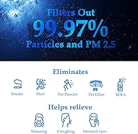 Vista 5 de Paquete de 2 filtros de repuesto R1 P1802 P1801, compatibles con YIOU R1 P1802 y Vegebe Filter, apto para purificador de aire Elechomes P1801, True