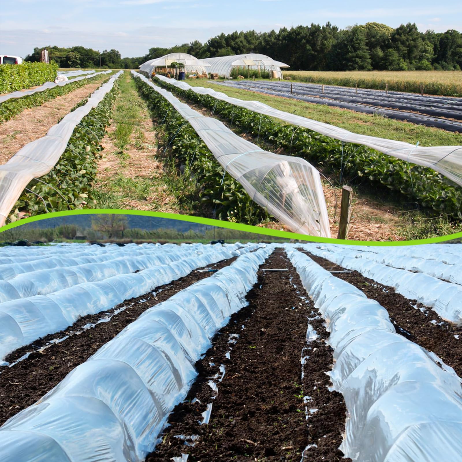 Bache pour Serre,Bache Plastique Transparente, Bache Serre Tunnel 3m x 3m, Film Polyéthylène de Extra-épais Clair Jardin Grandir Couverture De Polytunnel pour Légumes und Tomate
