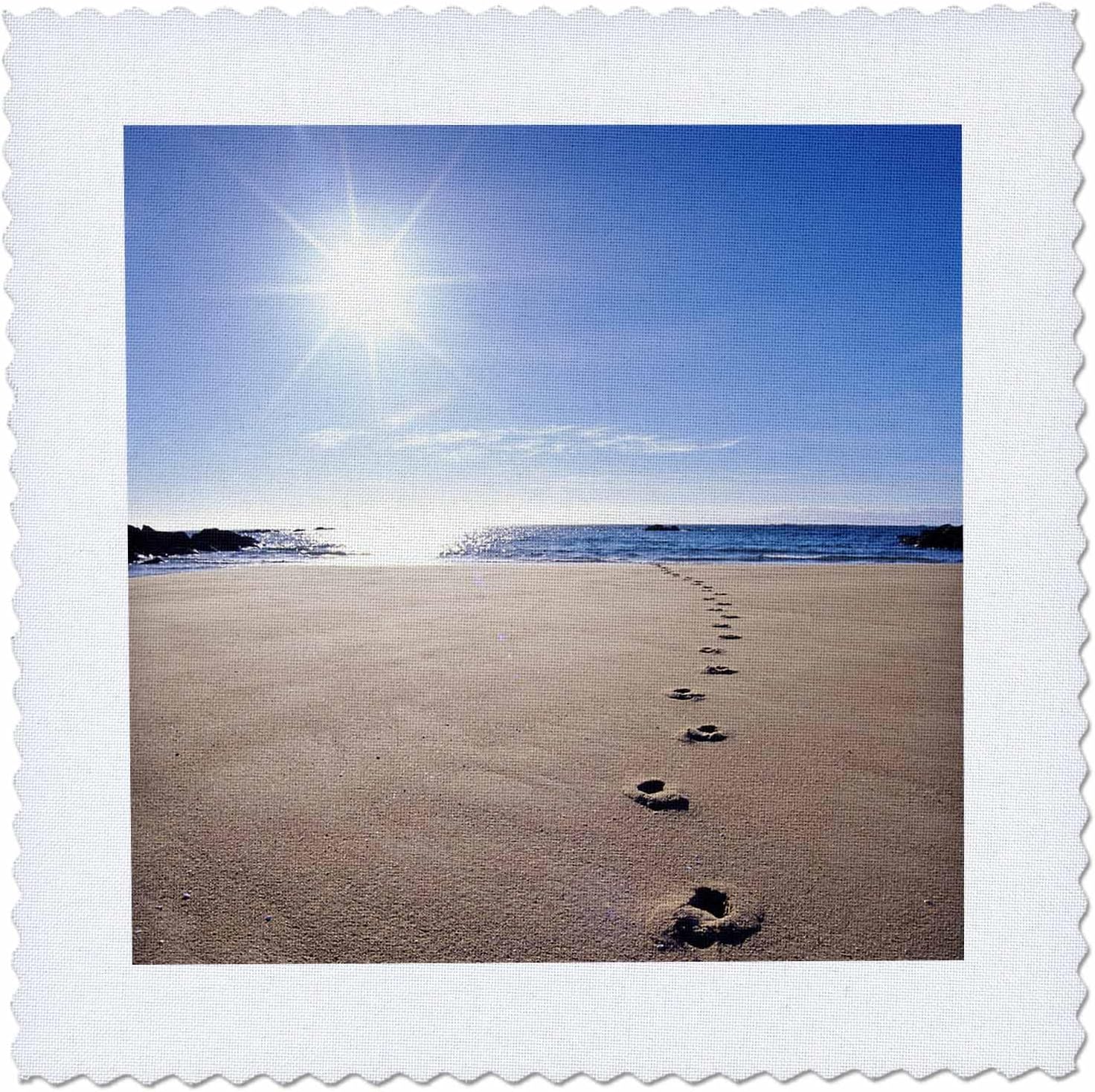3dRose qs_72204_9 Footprints in Sand, ABEL Tasman National Park-AU01 DWA2064-David Wall-Quilt Square, 22 by 22-Inch