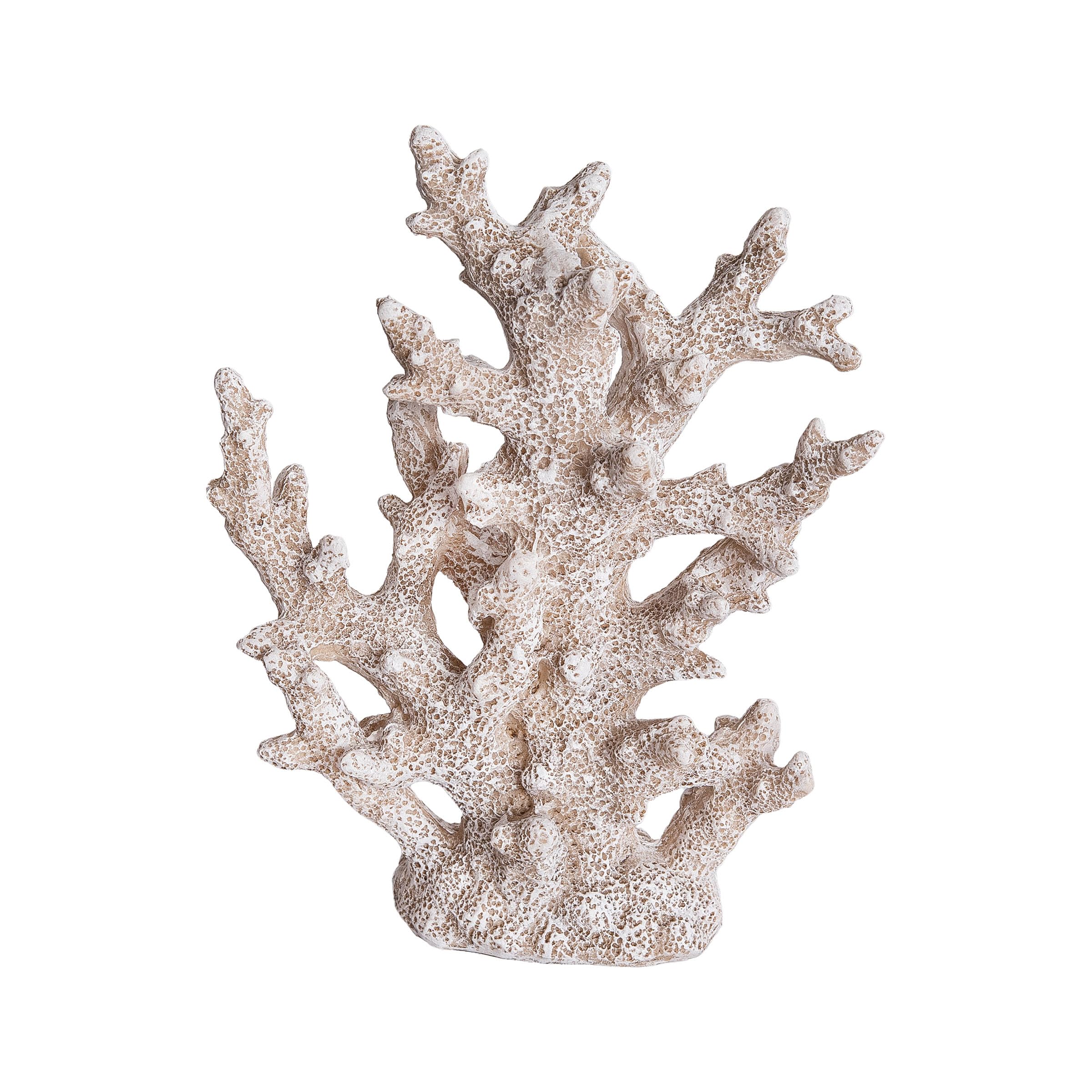 Corail beige Beachcombers pour sublimer votre buffet de salon style bord de mer