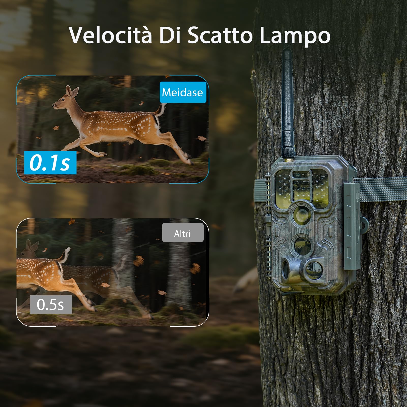 Meidase P200 Fototrappola WiFi Bluetooth, 48MP 1296P, Visione Notturna 30m, Attivazione Movimento 0.1s, IP66 Impermeabile, Trasmissione App Mobile, Monitoraggio Esterno
