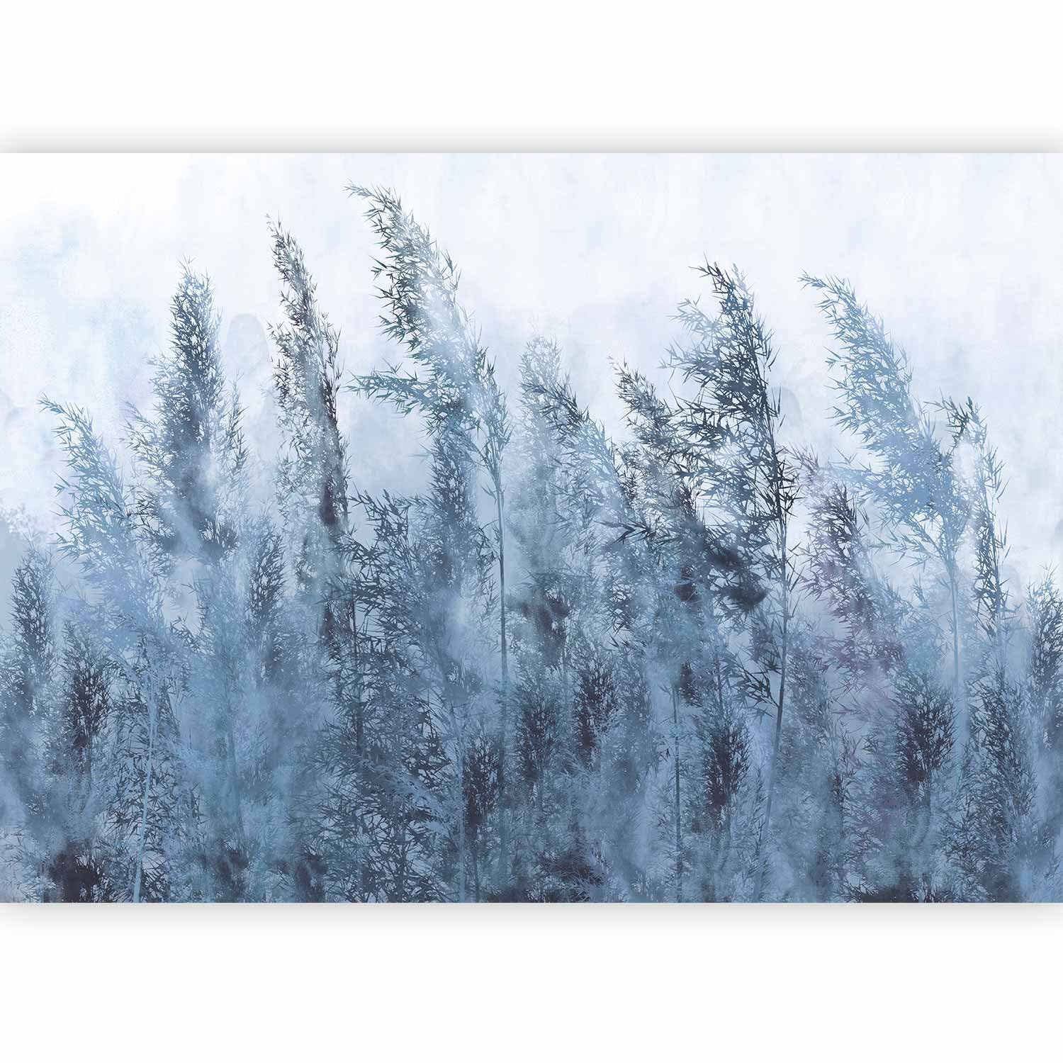 murando - Photo Wallpaper Pampas Grass 400x280 cm / 158"x110" Non-Woven Premium Art Print Fleece Wall Mural Decoration Poster Picture Design Modern - Nature Meadow White Blue b-A-0724-a-c โ image 1