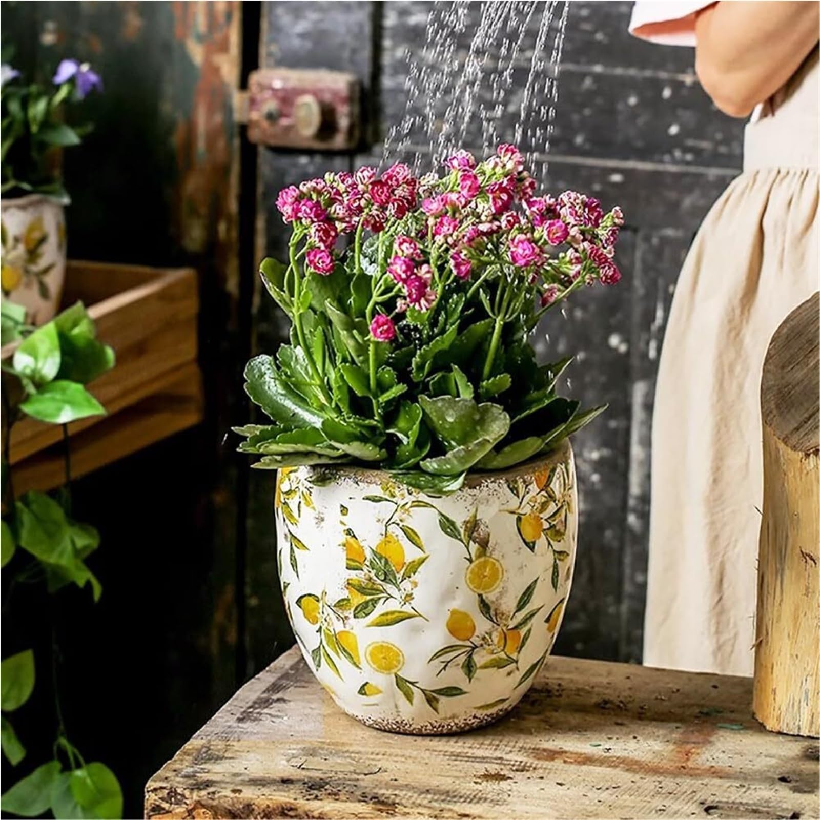 Doniczki na rośliny Ceramiczne doniczki na rośliny ogrodowe i popękane rustykalne sukulenty prezenty dla miłośników roślin (BS, z dziurą)