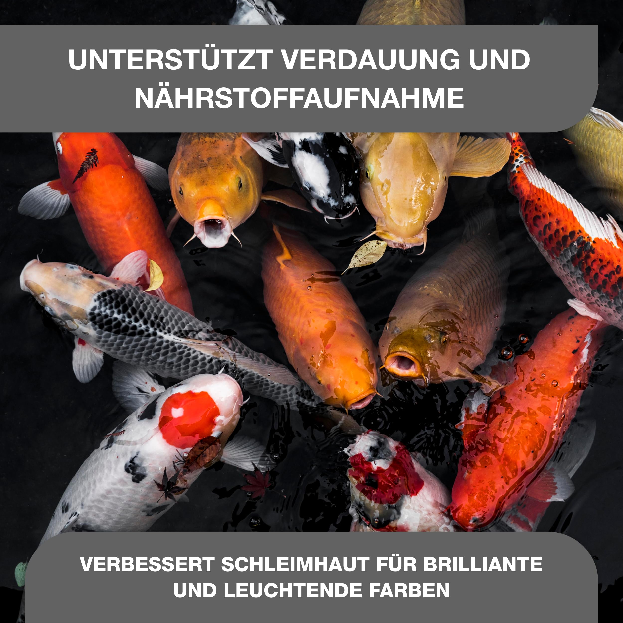 Teichpoint K24 Mineral-M 4 kg | Feines Montmorillonit Pulver bindet Schadstoffe und reduziert Trübungen im Garten und Koi Teich | Für ausgeglichenes Teichwasser | Reichweite 400.000 Liter