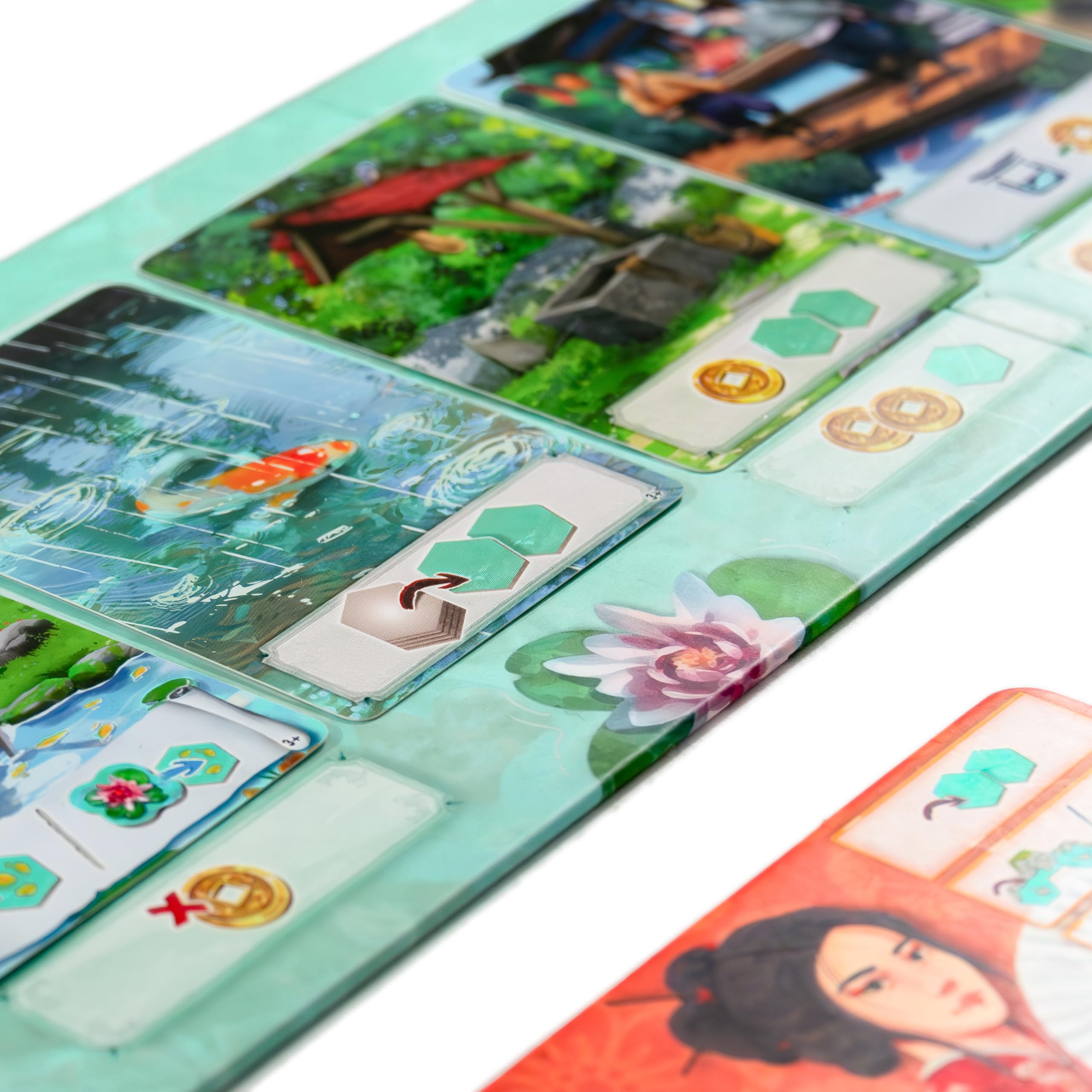 Merchandising Dv Giochi: Koi