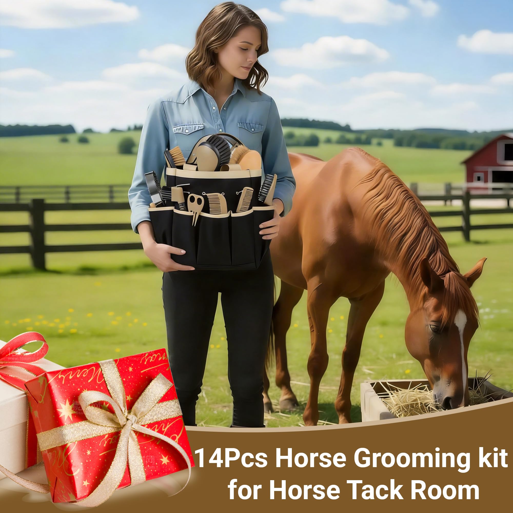 Kit per la toelettatura dei cavalli, set professionale 14 in 1 per toelettatura e cura, con spazzole per cavallo, pettine per curry, plettro per zoccoli e borsa portaoggetti impermeabile per brillare