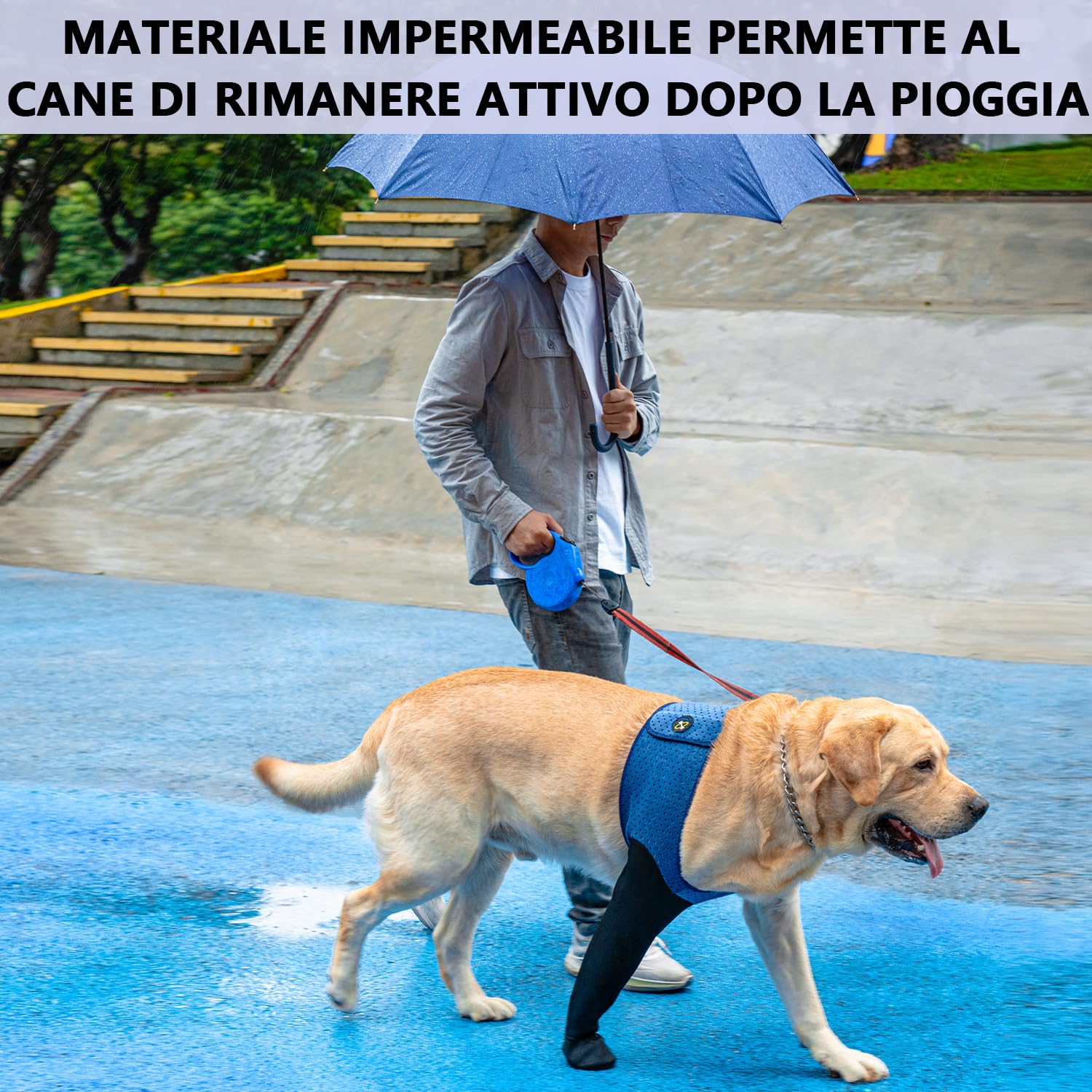 COODEO Calzini Protettivi per Cani Antileccatura, Copri Zampe con Suola Antiscivolo per Protezione Ferite e Guarigione, Scarpette Impermeabili (Blu, 3XL_Sinistra)