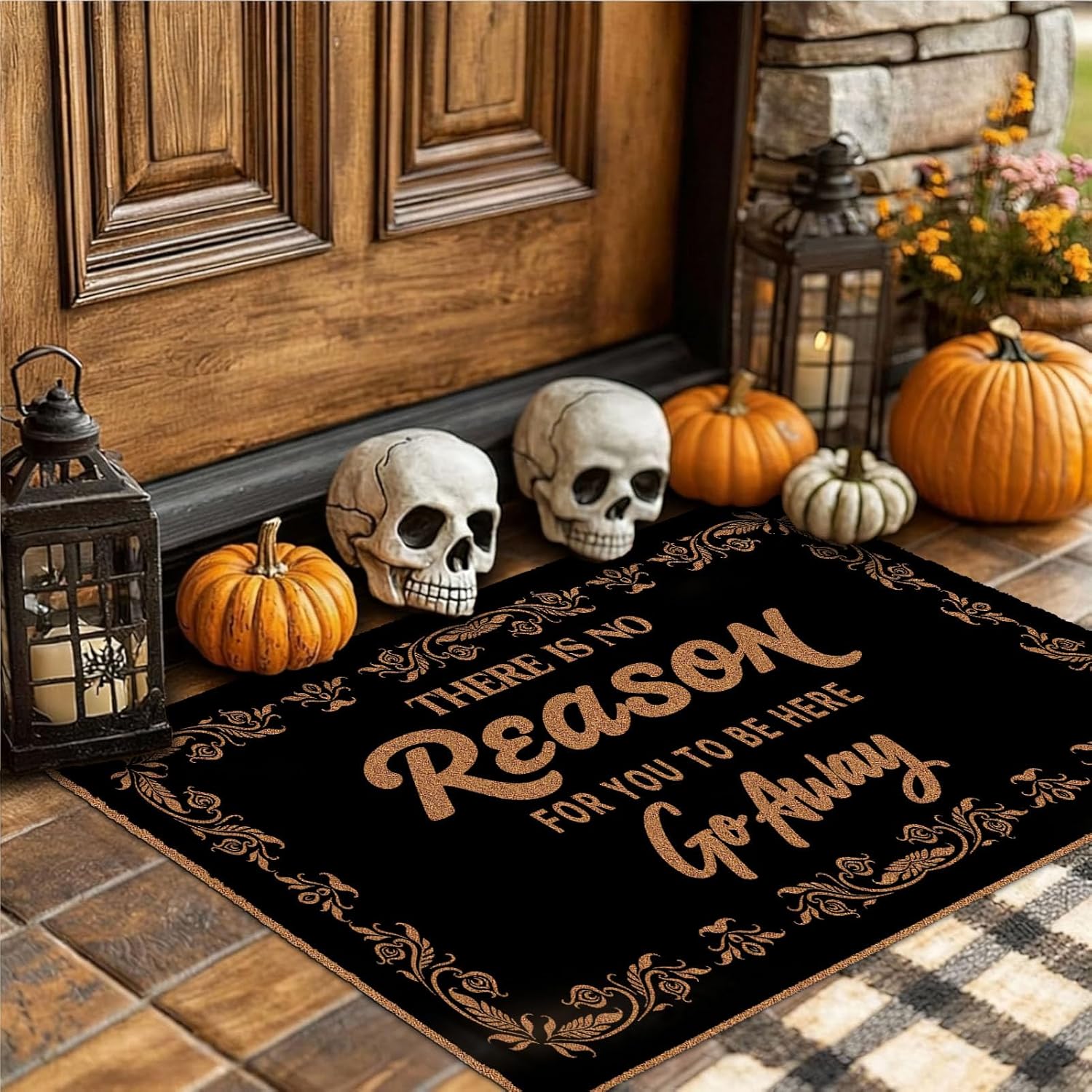 There is No Reason for You to Be Here Go Away Doormat, Funny Welcome Mat for Front Door, Indoor Outdoor Mats with Non-Slip Backing, Easy to Clean, Home Entrance Decor Mat, 17x30 Inch