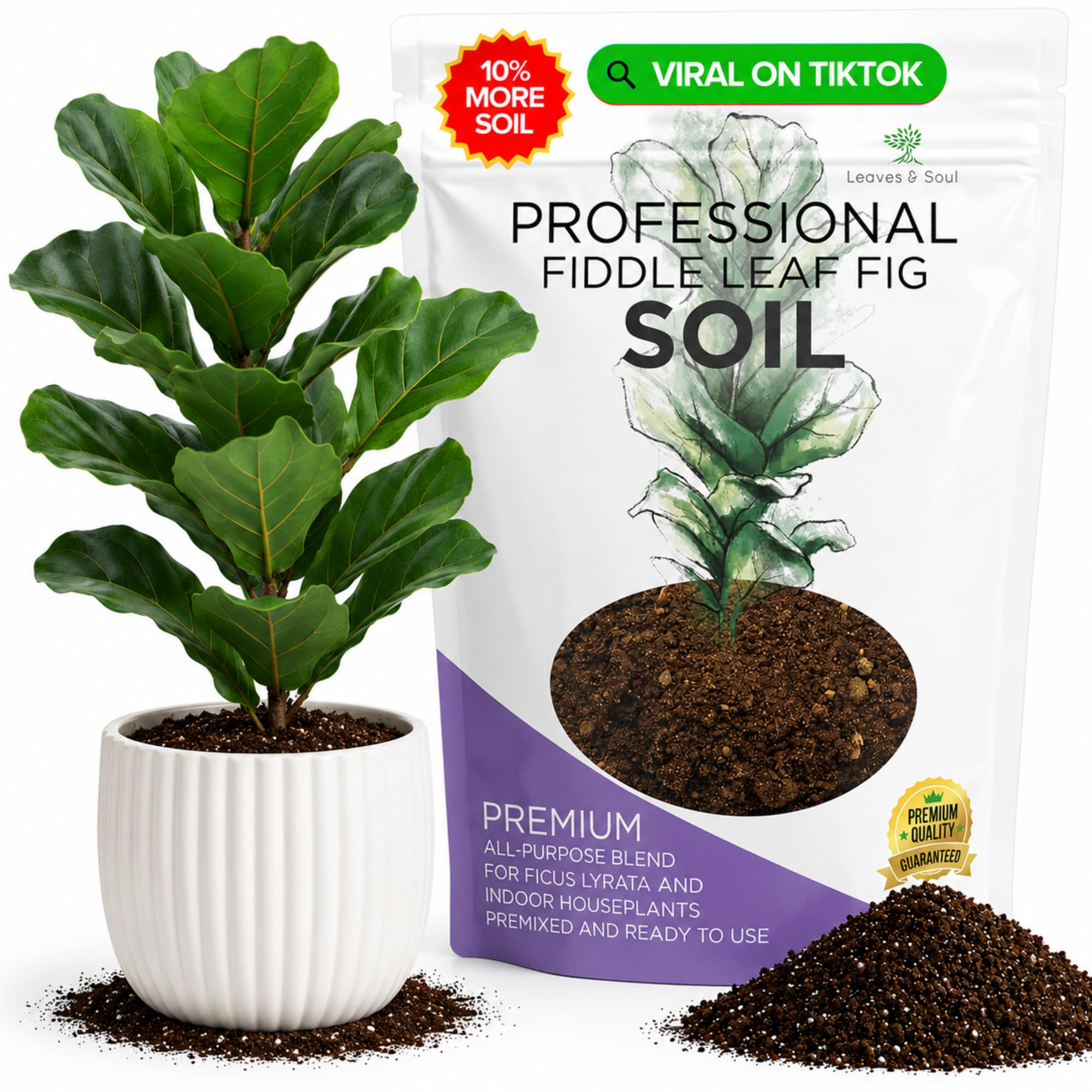 Professional Fiddle Leaf Fig Soil Mix