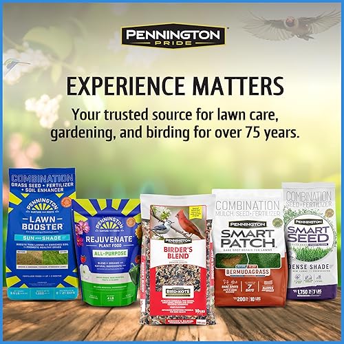 Vista 93 de Pennington - Pride Wild Finch - Mezcla de semillas para pájaros silvestres, 10 libras
