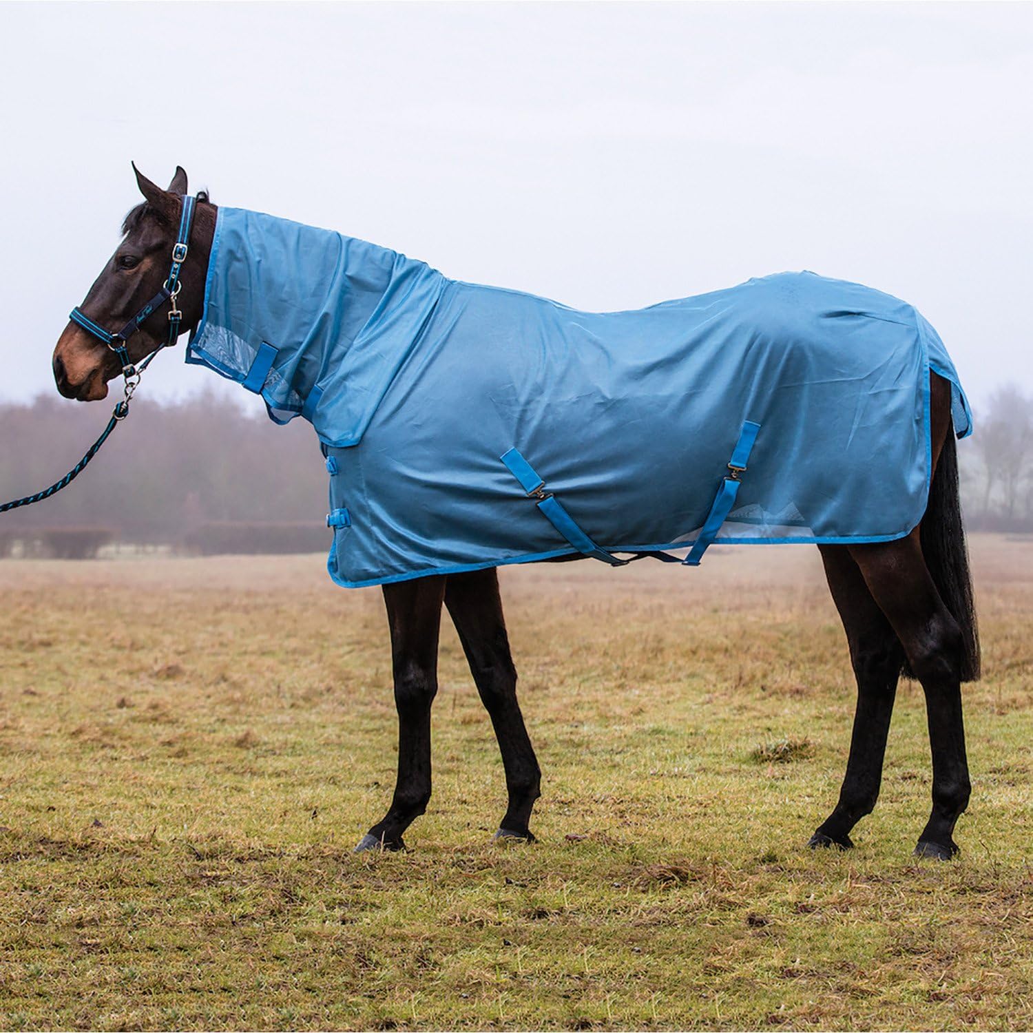 Jumpers Horse Line Unisex's Jhl Essential Fly Rug Combo Blue 6' 6"
