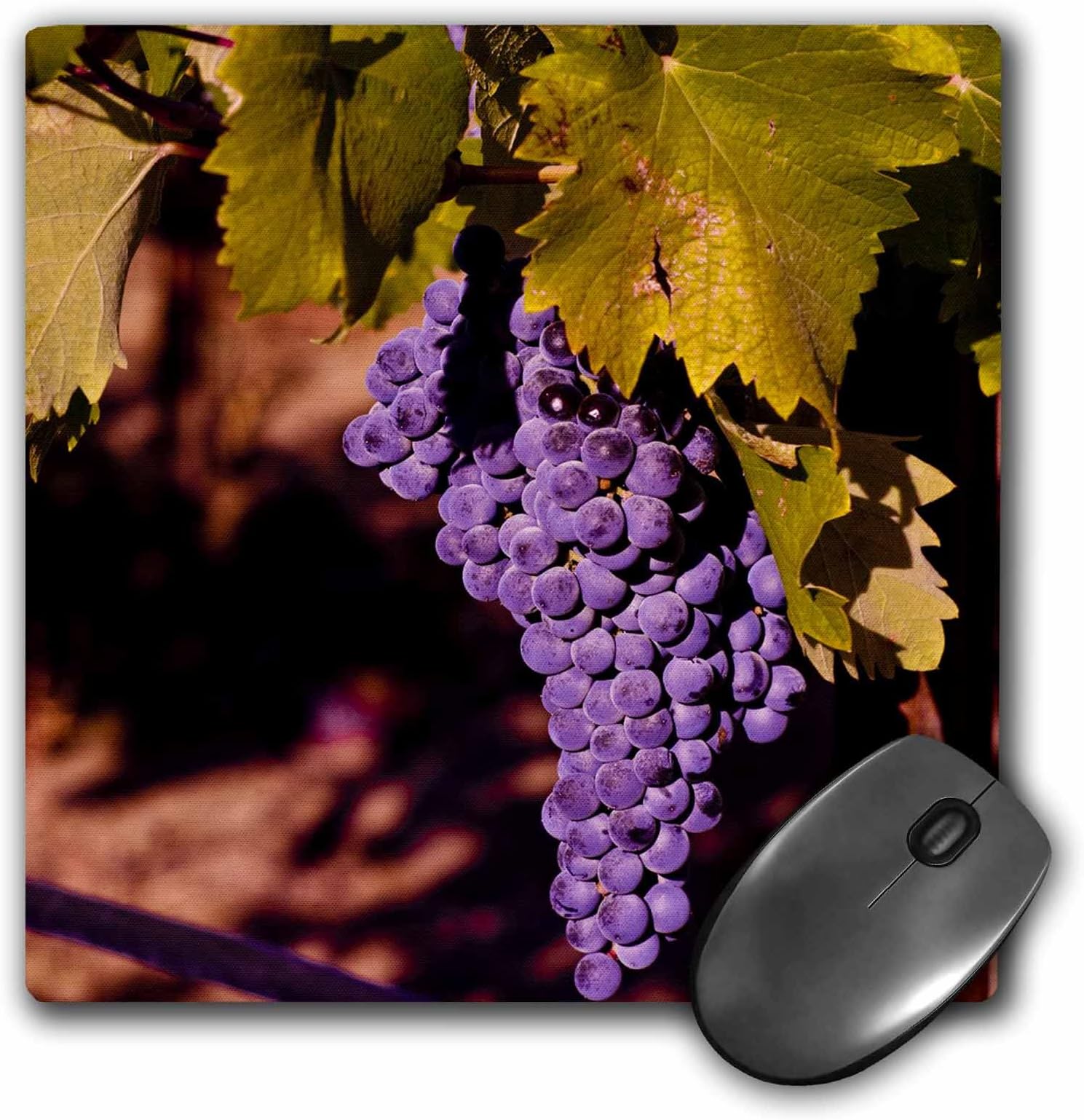 3dRose LLC 8 x 8 x 0.25 Inches Mouse Pad, USA, Northwest, Eastern Washington, Kiona Winery Richard Duval (mp_96654_1)