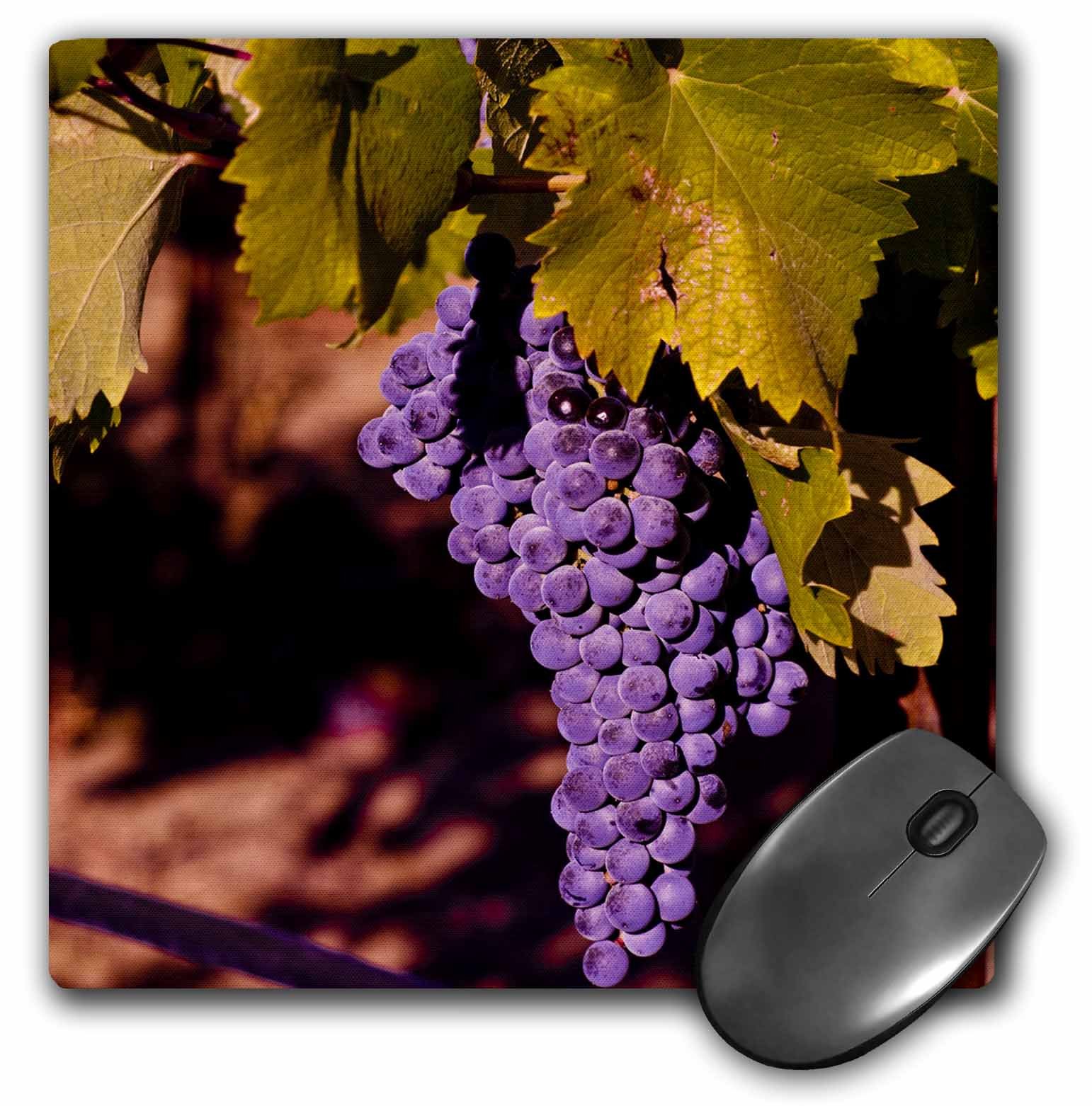 3dRose LLC 8 x 8 x 0.25 Inches Mouse Pad, USA, Northwest, Eastern Washington, Kiona Winery Richard Duval (mp_96654_1)