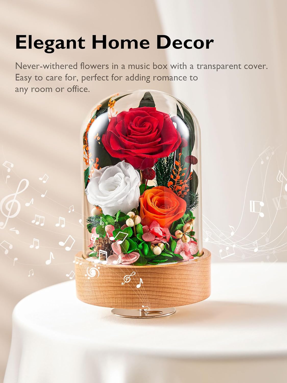 Eterfield Flowers for Delivery Prime, Valentine’s Day Preserved Roses Gifts for Women - Forever Flower in Glass Dome Birthday Gifts for Mom Wife Grandma Her (Red, Cylindrical) - Image 4