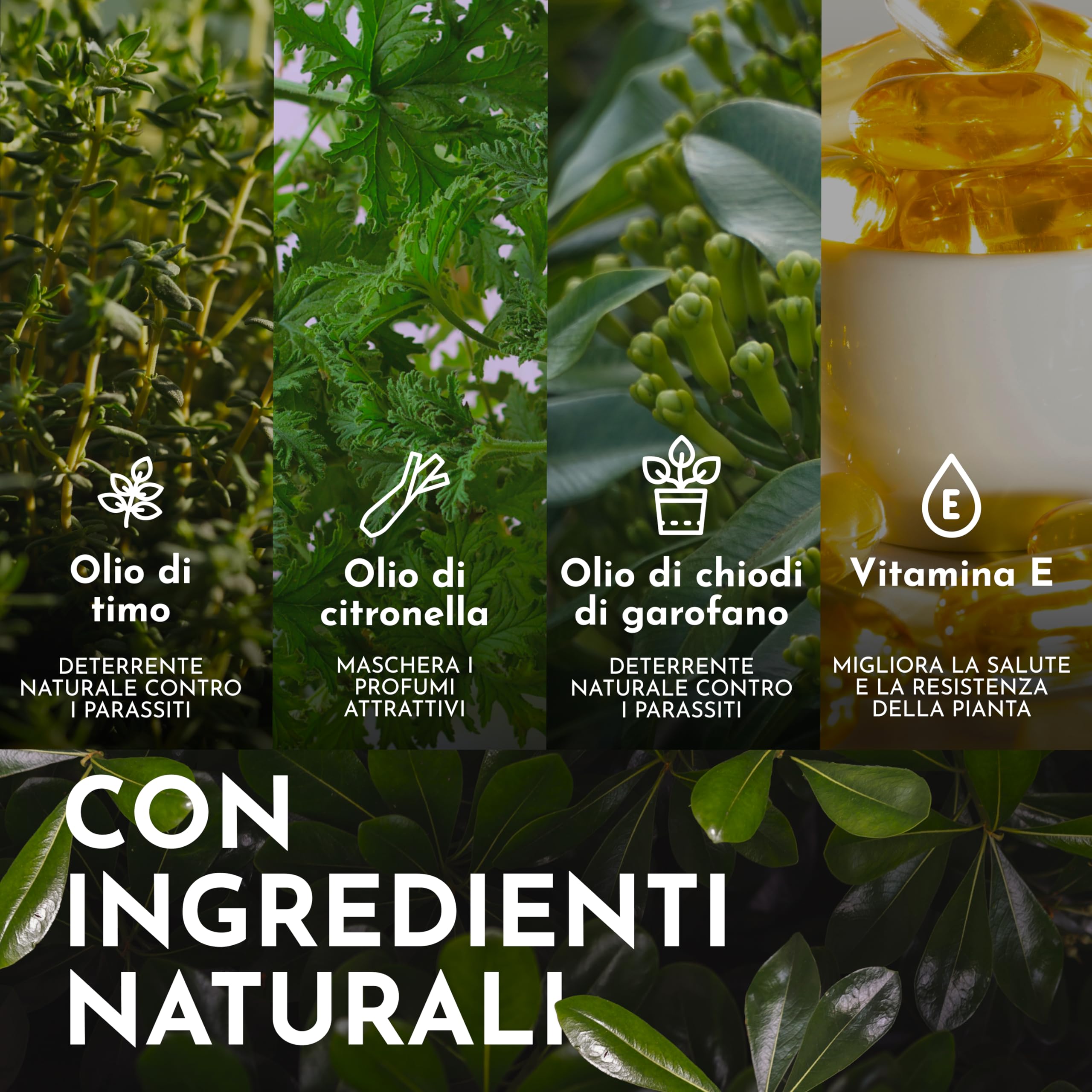 Spray Antiparassitario Piante -500ml- Contro Piralide del Bosso, Bruchi, Larve e Afidi - Protezione Naturale per Bosso, Siepi, Rose e Orto - Con Olio di Timo e Olio di Citronella