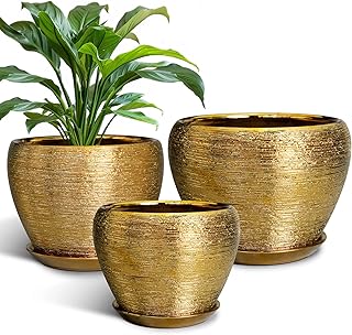 Flower Pots for Indoor & Outdoor Plants - Ceramic Pots 10 Inch, 8 Inch, ...