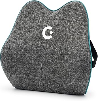 Cubii Cushii V2 Back Support Cushion for Lower Back Support, Lumbar Support Pillow with Contoured Design and Adjustable Strap for Office Chair, Desk Chair, Kitchen Chair and Couch