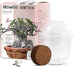 GROW2GO Cactus Grow Starter Kit - Mini Greenhouse, Cactus Seed & Soil Grow Set - Sustainable Gift Idea for Plant Lovers (Adenium Obesum)