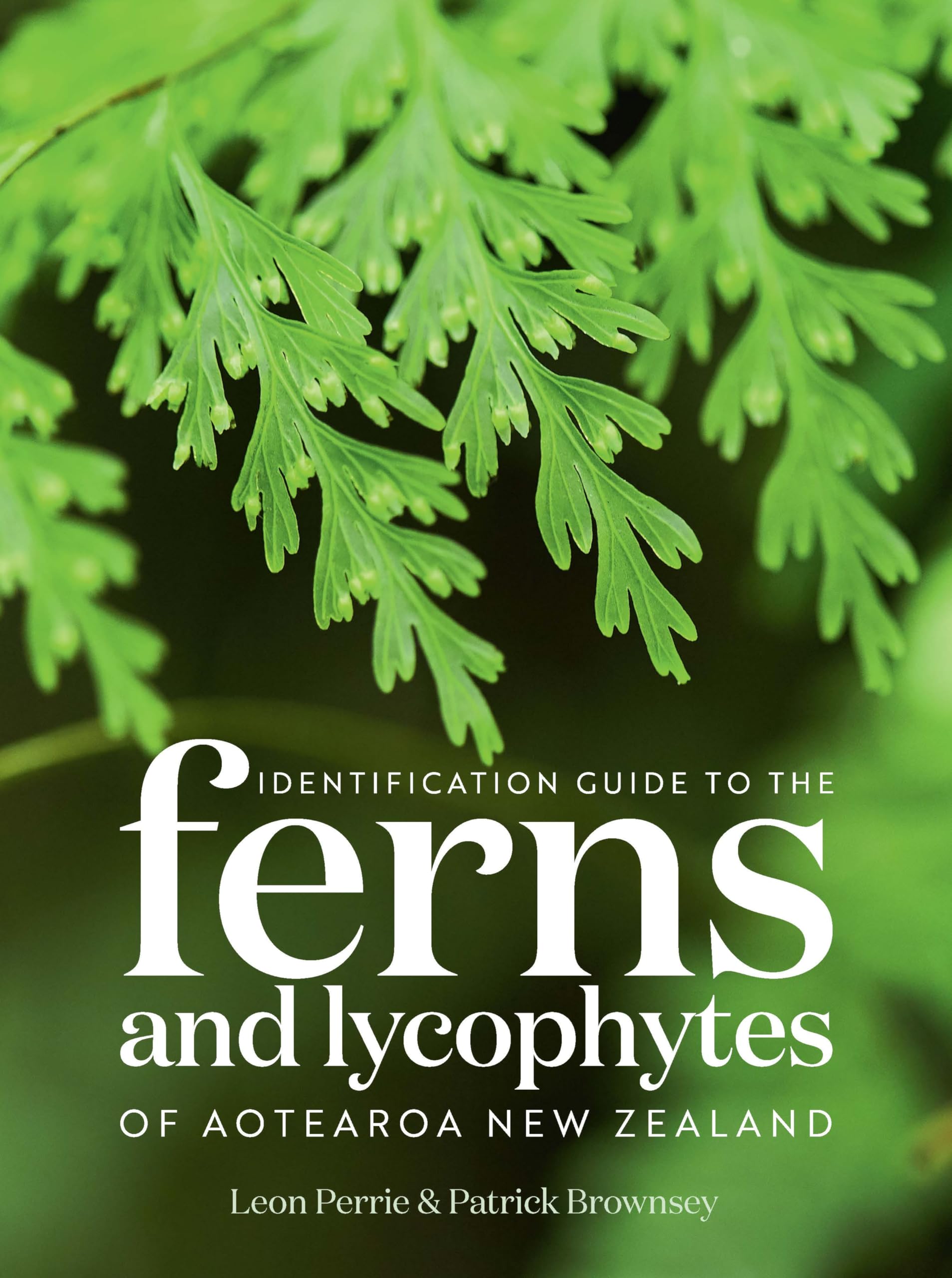 Identification Guide To The Ferns & Lyco
