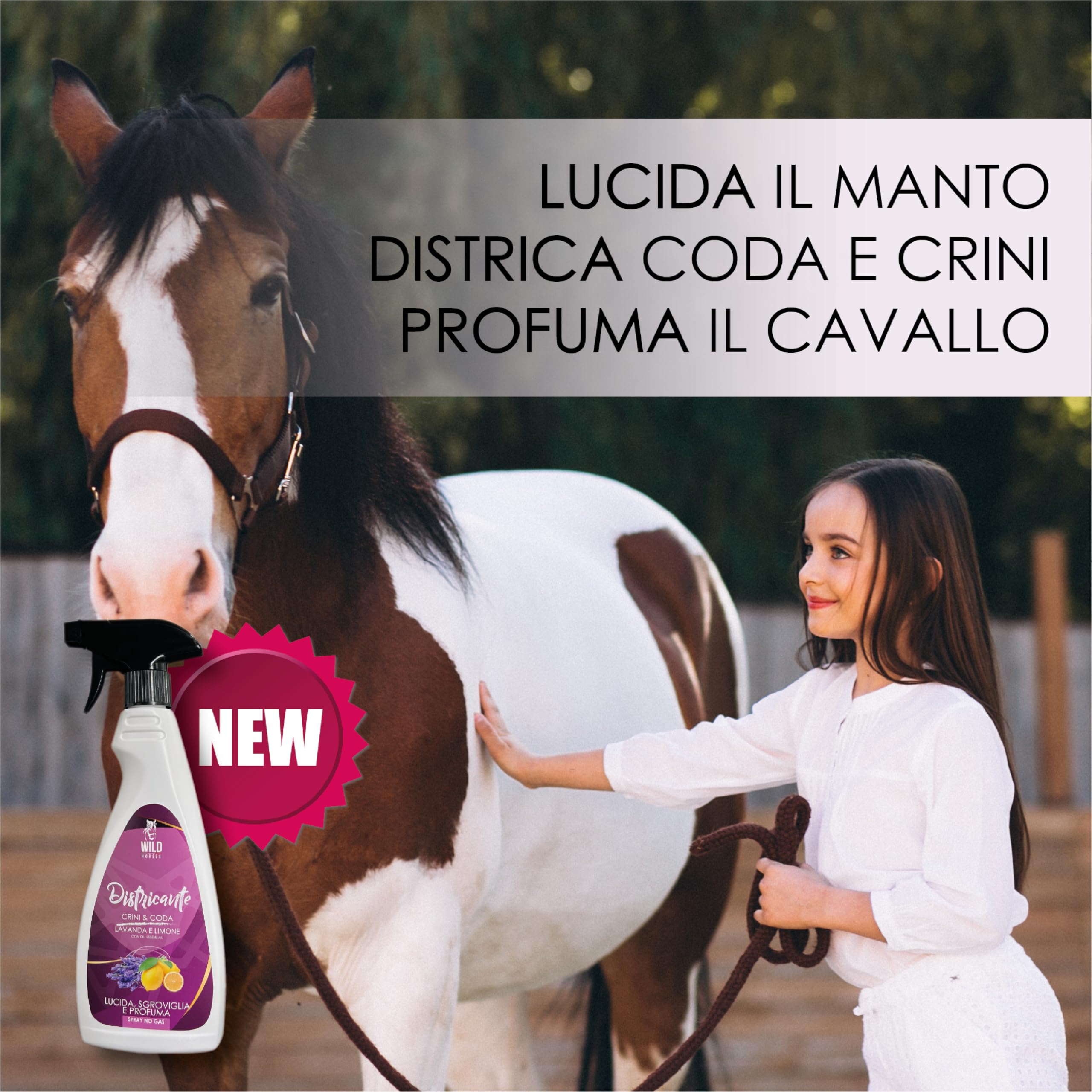 Wild Horses | Districante Crini & Coda Lavanda e Limone - Lucida, Sgroviglia e Profuma, Senza Risciacquo, 500 ml, Made in Italy