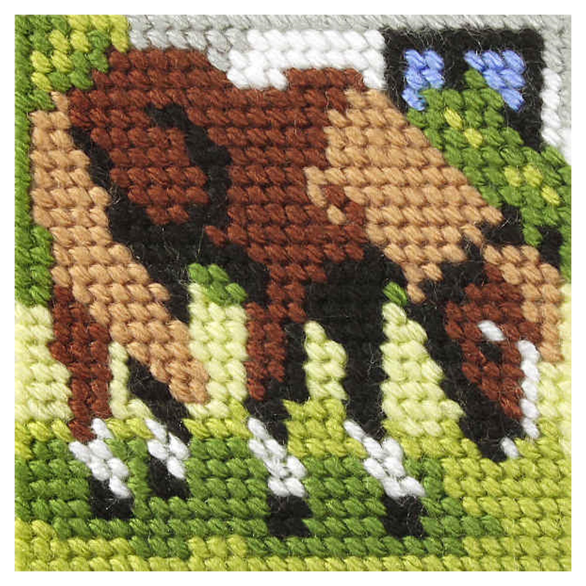 Orchidea Horse My First Tapestry Kit