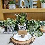 Winlyn 3 Pcs Small Potted Plants Artificial Succulents Hanging and Faux Tropical Snake Plant in Black Geometric Pots for Modern Home Kitchen Windowsill Table Indoor Outdoor Greenery Decor (3hduo)