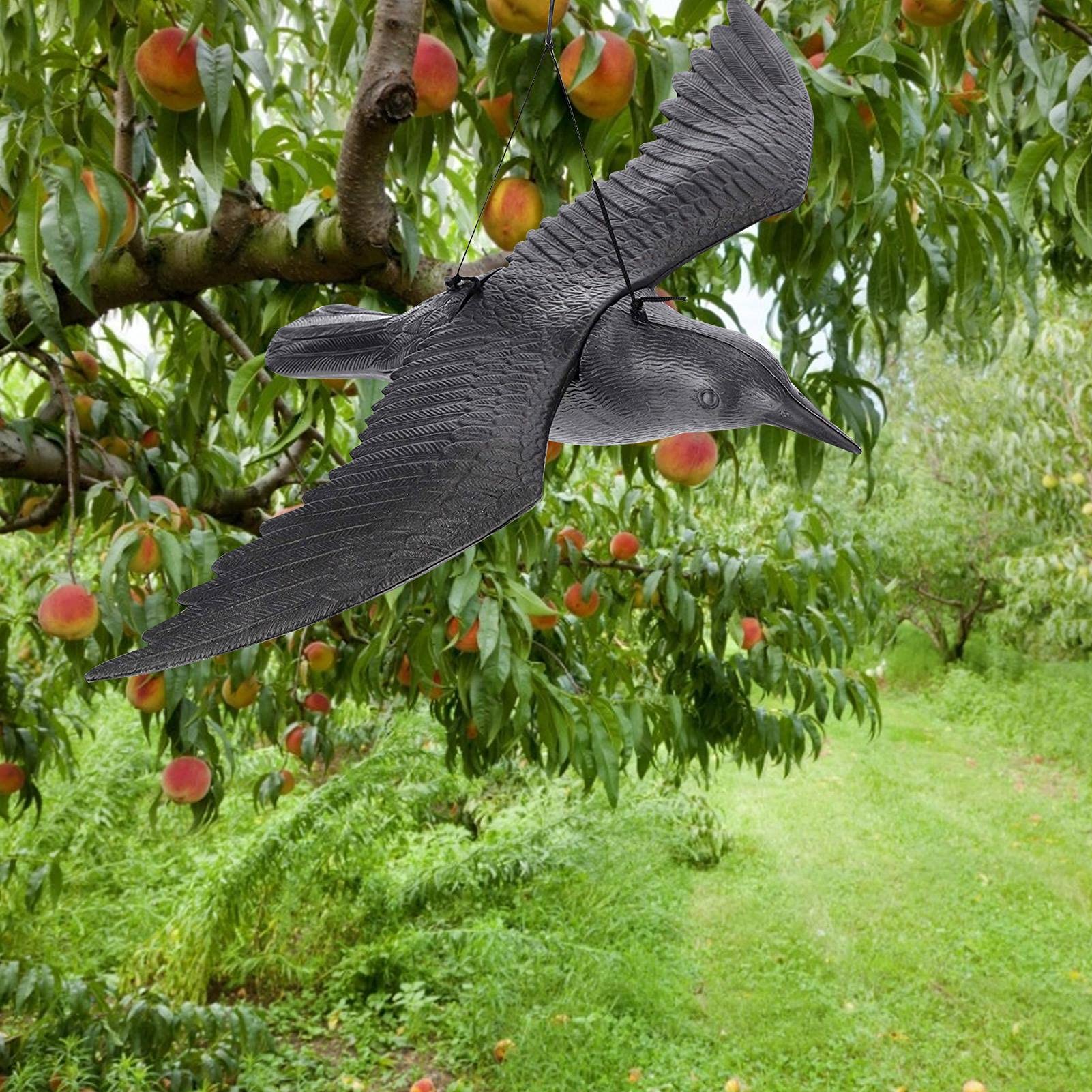 Amazon.co.jp: SANGKA カラスよけ 鳥よけ 鳩よけ 本物そっくり 鳥獣害