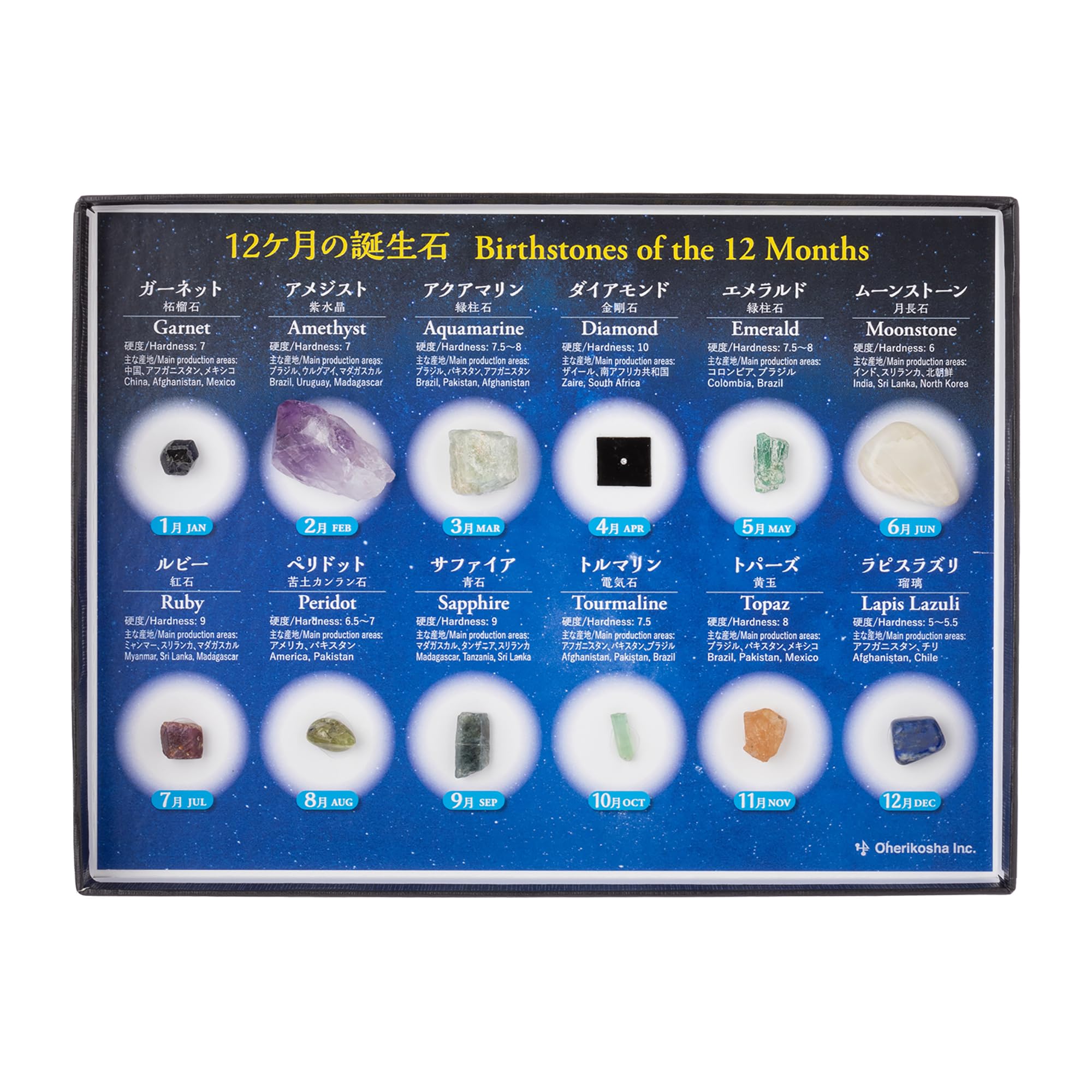 Amazon | 大江理工社(Oherikosha) ブック型標本セット 誕生石宝石