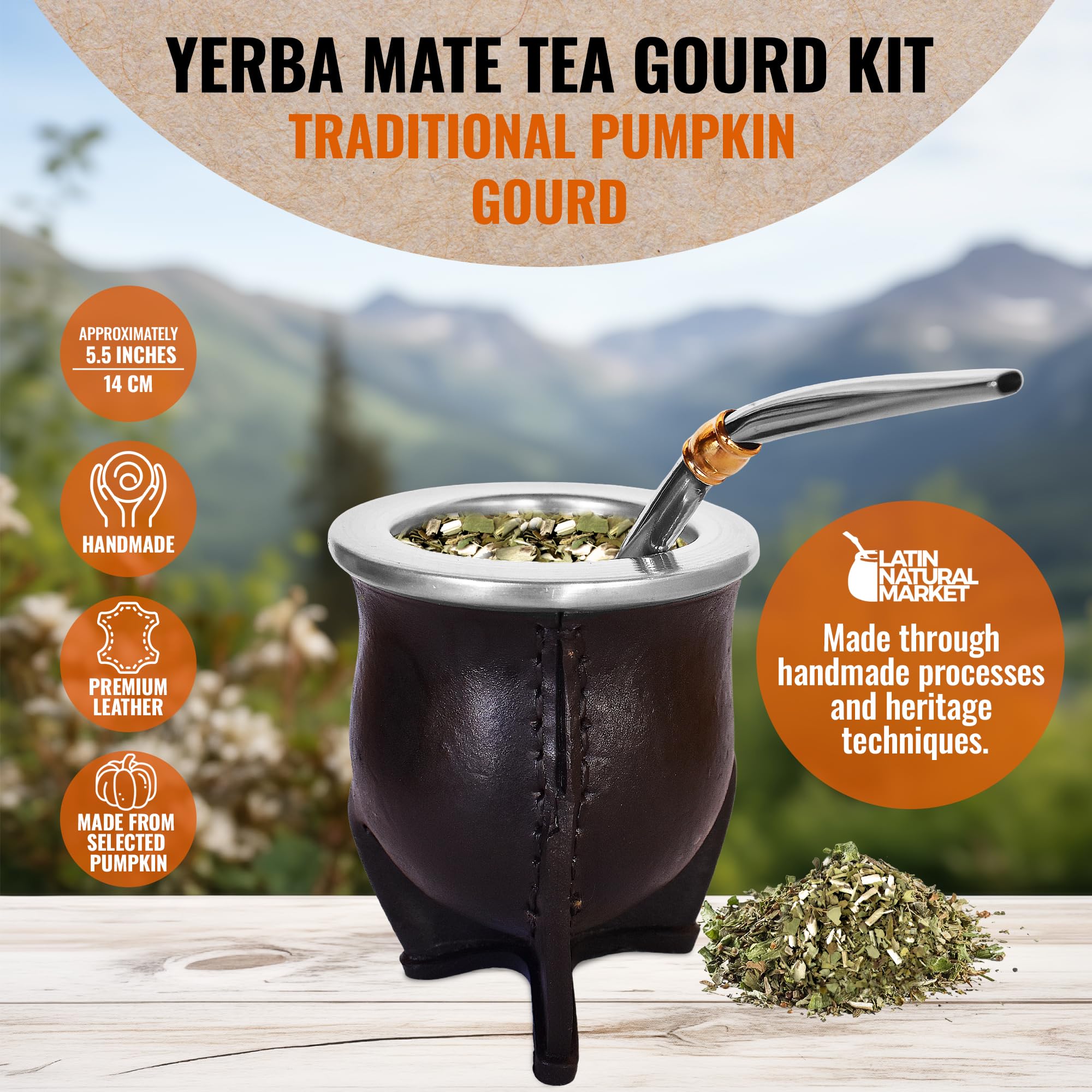 Handmade Yerba Mate Set - Cup and Bombilla with Pumpkin Gourd Kit - Mate Container - Mates Argentinos - Stainless Steel Bombilla (5.5 Approx)