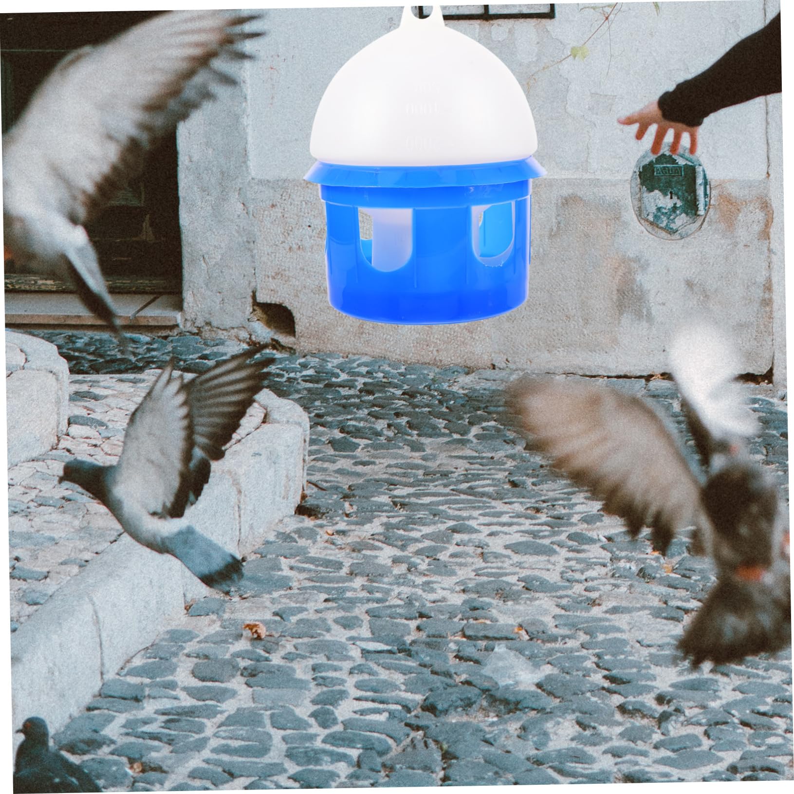 Blauer Vogeltränke aus Kunststoff mit Abnehmbarer Schale für Haustaube Papagei Taube