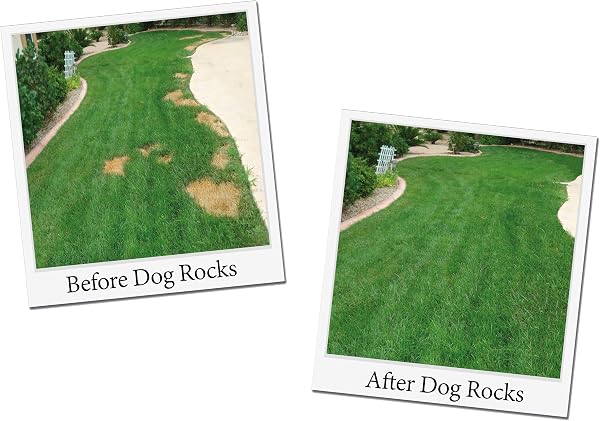 Dog Rocks Urinpflaster Preventer 200g Beutel - 2
