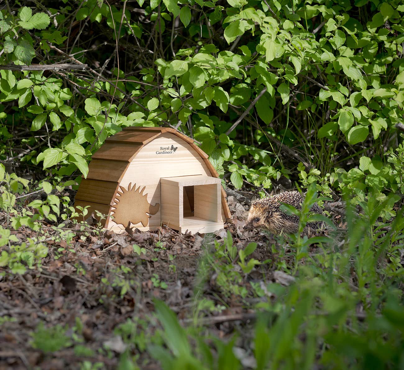 Royal Gardineer Igelhaus Bausatz Holz: 2er-Set wetterfeste Igelhäuser mit Schindeldach aus Echtholz, Bausatz (Igelfutterhaus, Igelnest, Insekten)