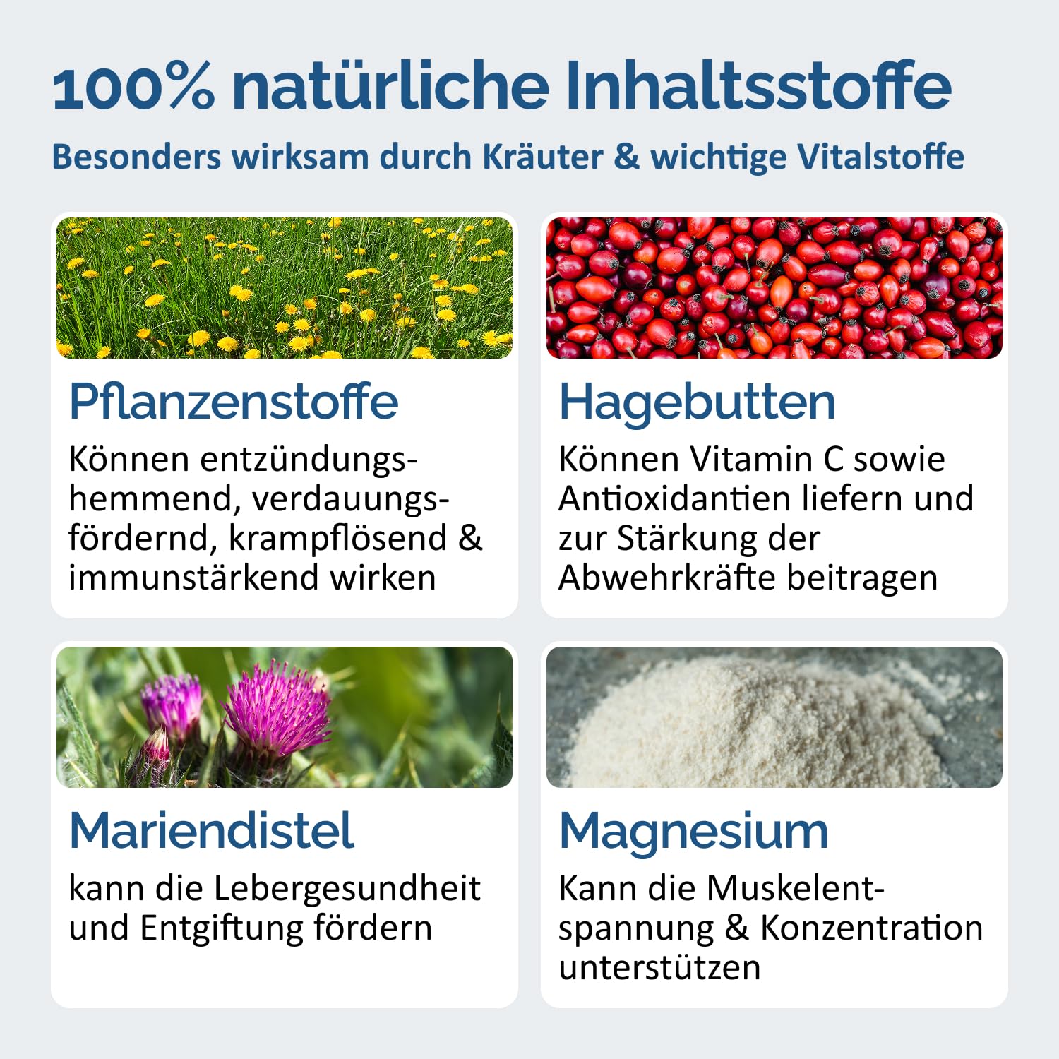 The Horse Vitality Company Basic Vital Mix 1kg Pulver | Ergänzungsfuttermittel für Pferde mit Kräutern & Magnesium | Für Vitalität, Konzentration & Verdauung | 100% natürlich | Made in Germany