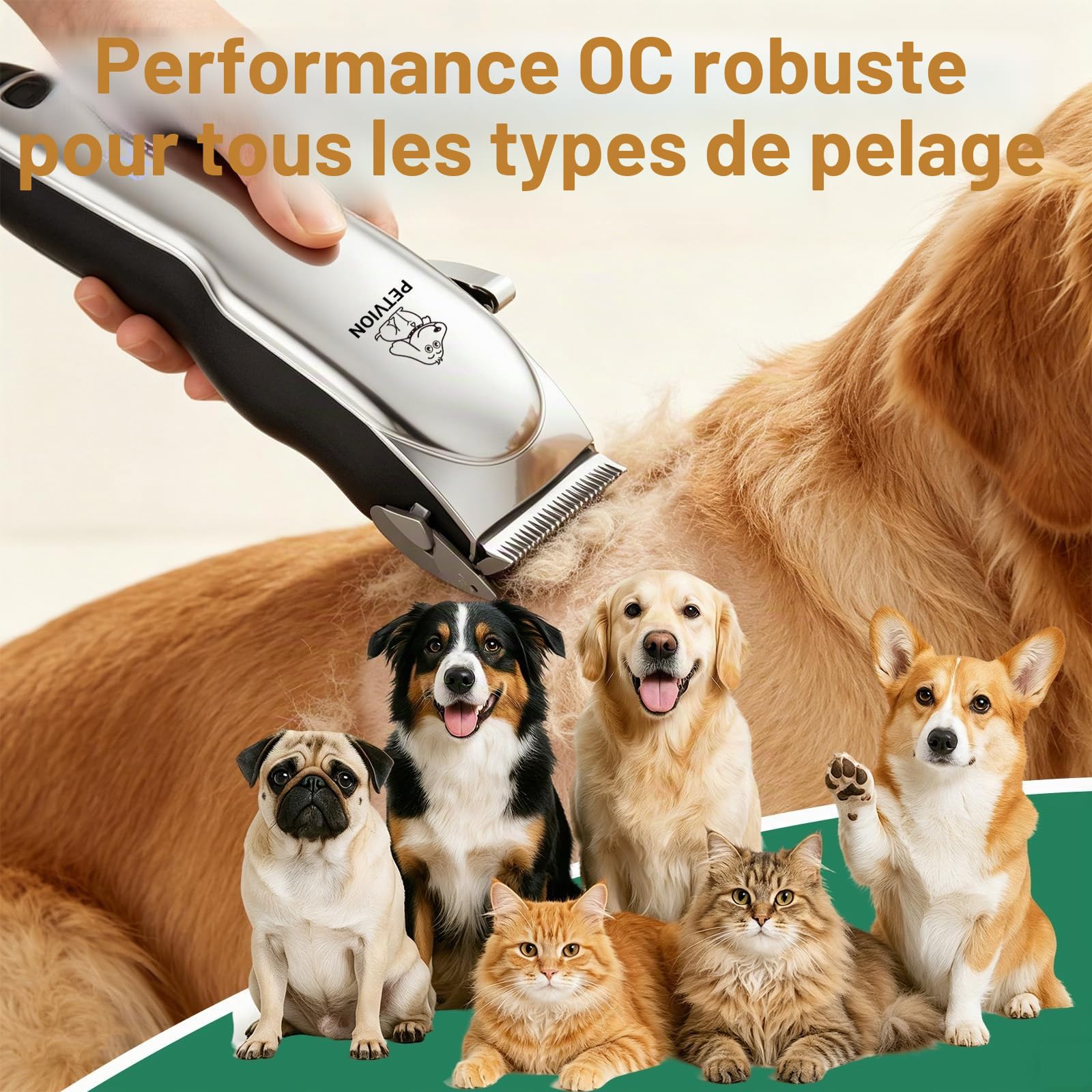 Tondeuse Chien Professionnelle Tranchant 7 000 tr/min Tondeuse de Toilettage Sans Fil Étanche IPX7 avec Écran LED Faible Bruit et Charge USB et 6 Sabots pour Poils Longs Frisés et Épais
