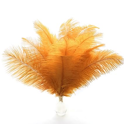 Ostrich Feathers