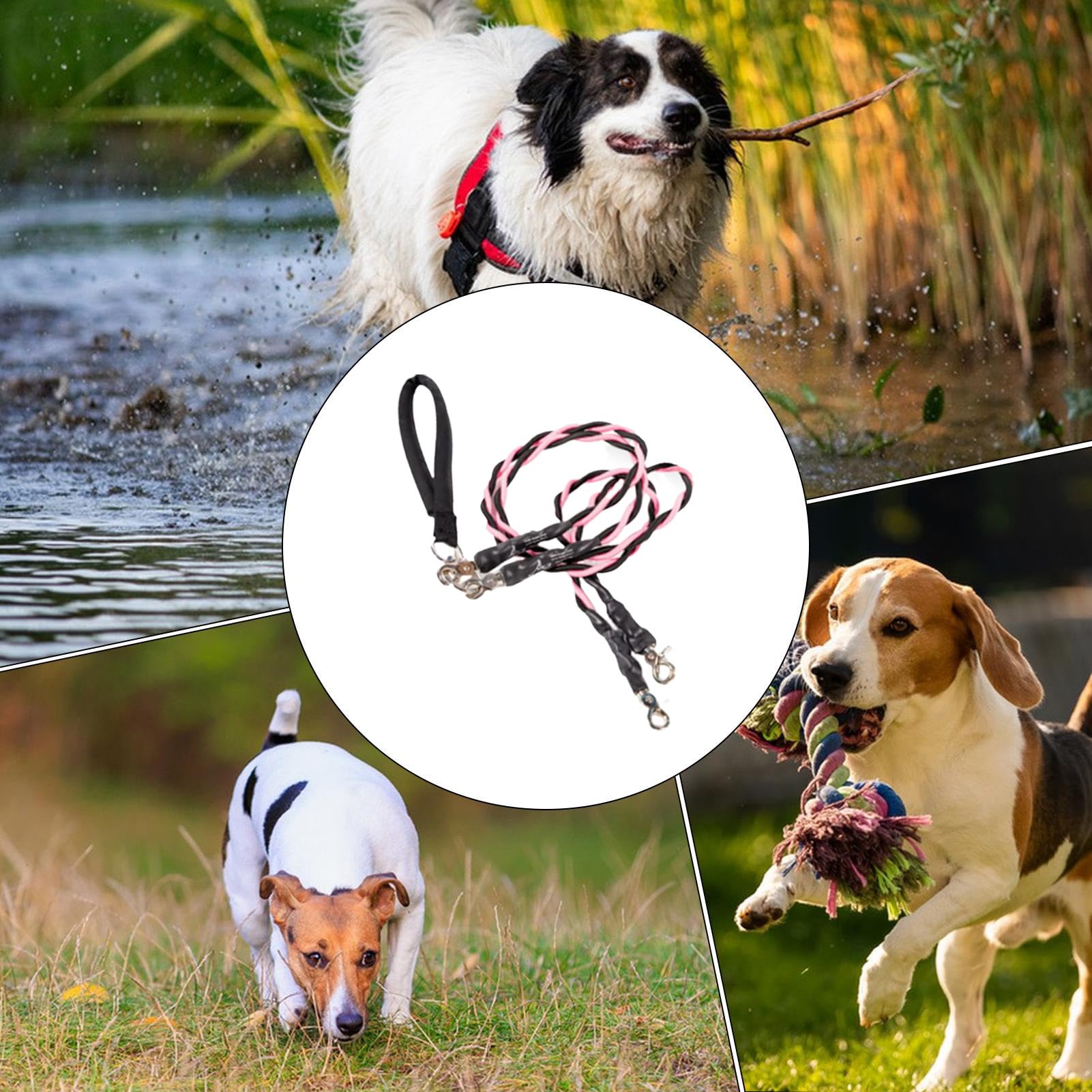 Corde per Cani - Guinzaglio Doppio per Passeggiate con Animali Domestici | Accessori per Animali Domestici Resistente Durevole Comodo per Spiaggia Addestramento Sicurezza Migliorata
