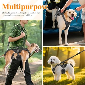 Dog Lift Harness, Dog Support & Recovery Sling for Full-Body & Hind/Front Leg Pee-Able Design for Large/Medium Dogs All-in-One Ideal Assistance for Senior, Disabled, Arthritic & ACL Canines (M)