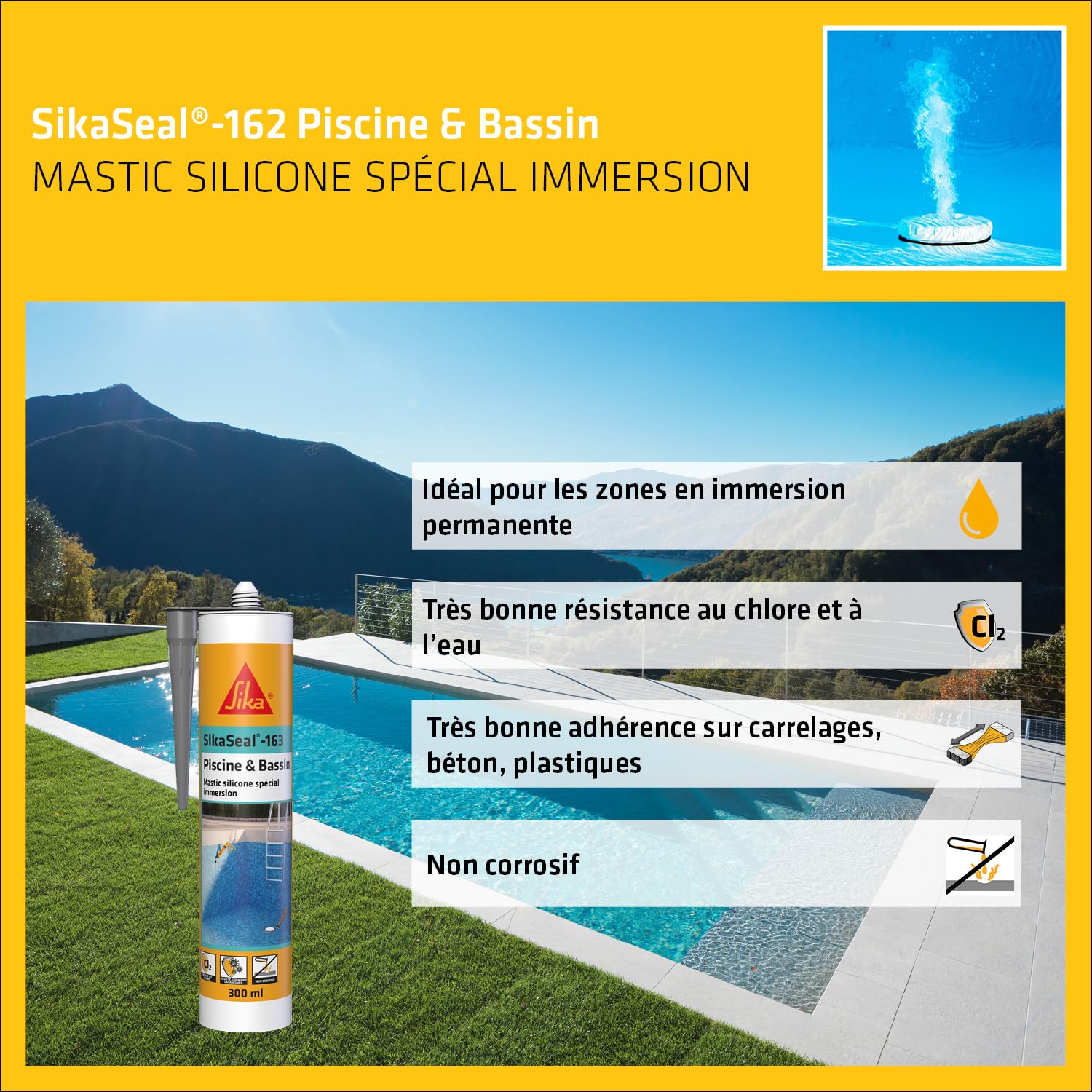 SIKA - Mastic silicone spécial immersion - SikaSeal-163 Piscine & Bassin, Gris - Joints de piscines et zones immergées - Résistant au chlore - Carton de 12 cartouches de 300ml