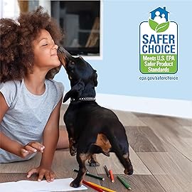 Bona Spray Mop Air - Includes Multi-Surface Floor Cleaner Concentrate and Microfiber Pad - Lemon Mint Scent - Lightweight & Compact Mop