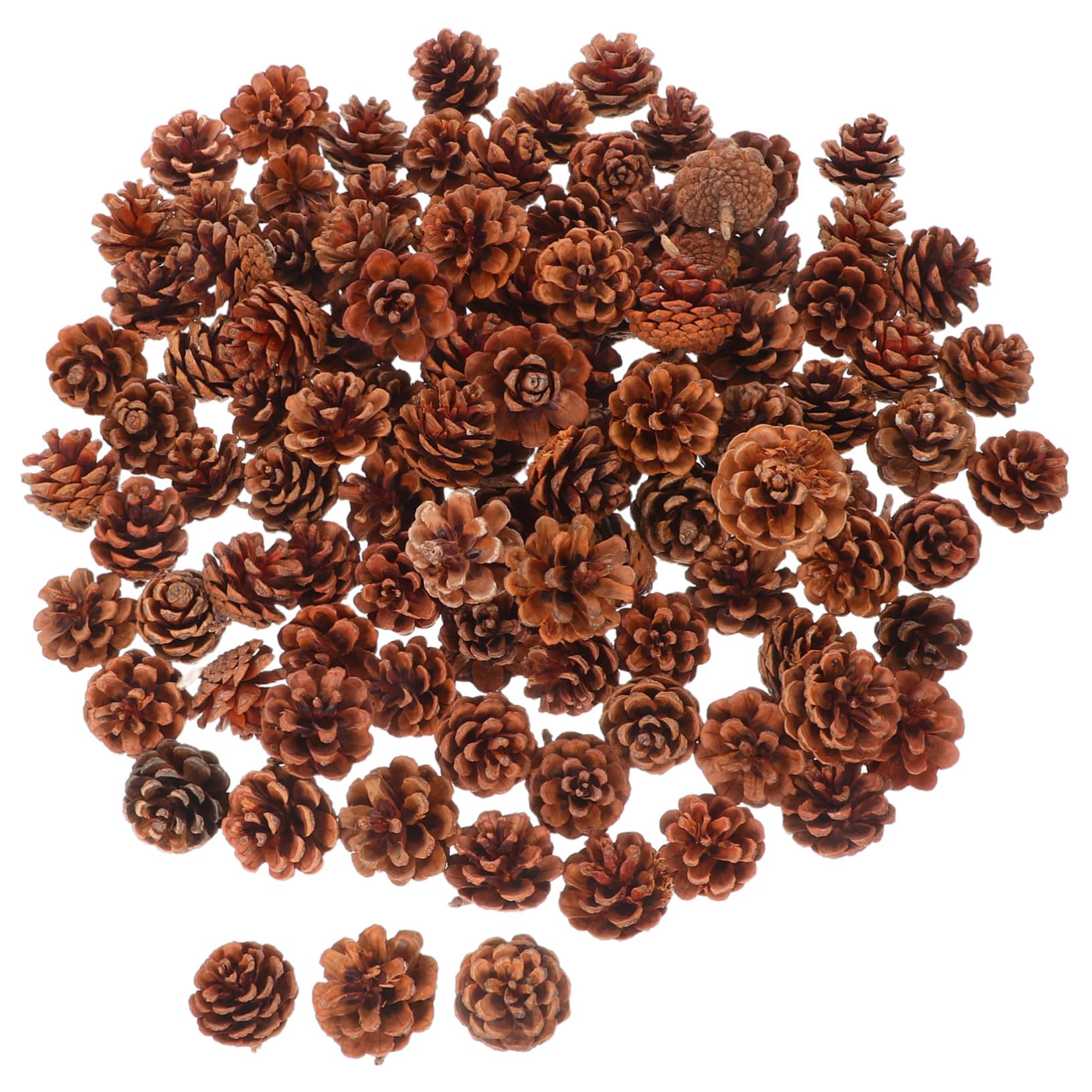 130 Piezas de Piñas Mini Auténticas para Manualidades Estilo Rústico, Fáciles de Almacenar, Ideales para Decoraciones de Temporada y Día de Acción de Gracias
