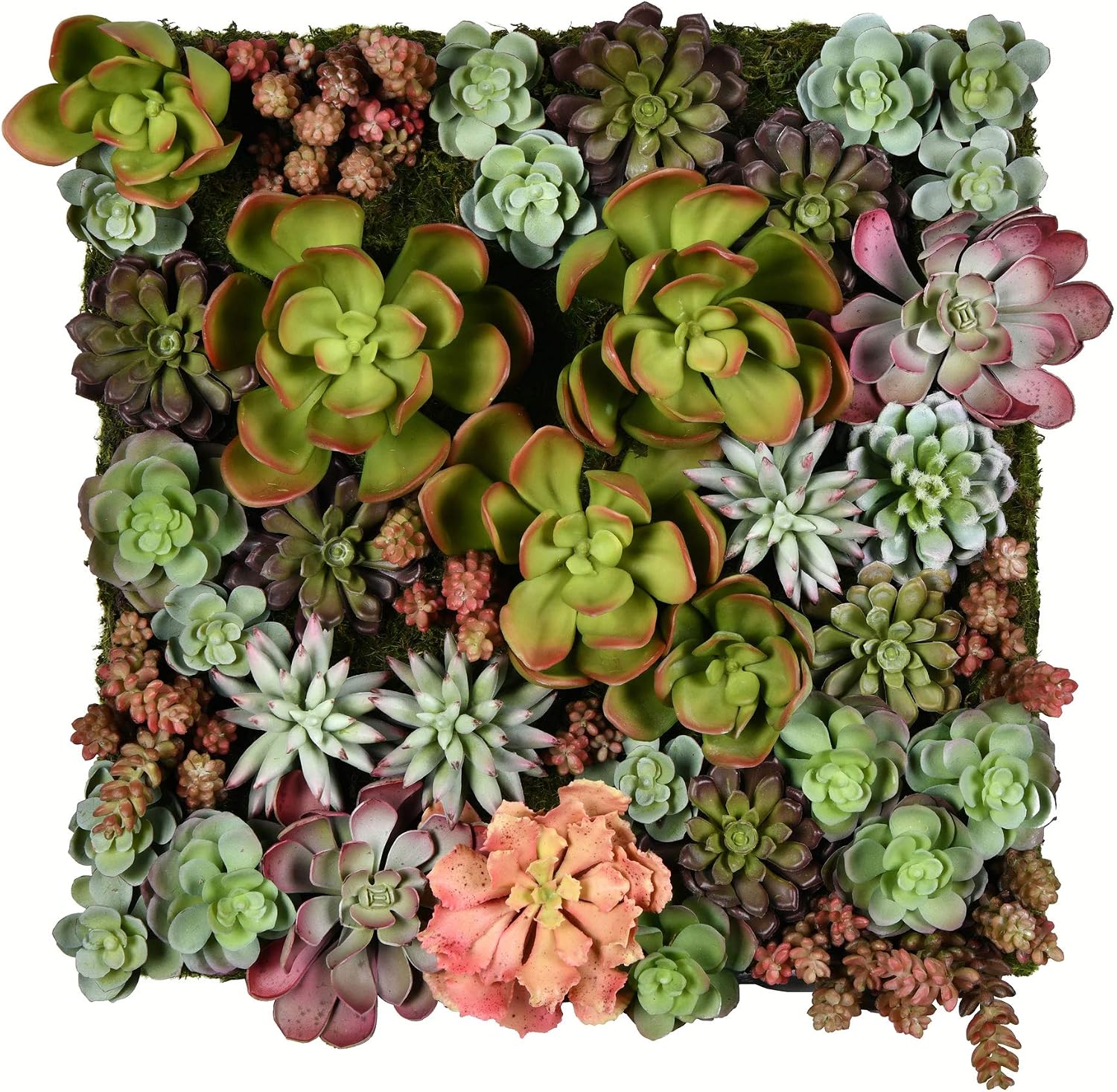 Vickerman Everyday 16.5" Indoor Artificial Multi-Colored Succulent Wall Arrangement - Realistic Looking Foliage - Maintenance Free - Artificial Succulents