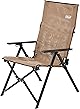 コールマン(Coleman) レイチェアメッシュ リクライニング 折り畳み ハイバック