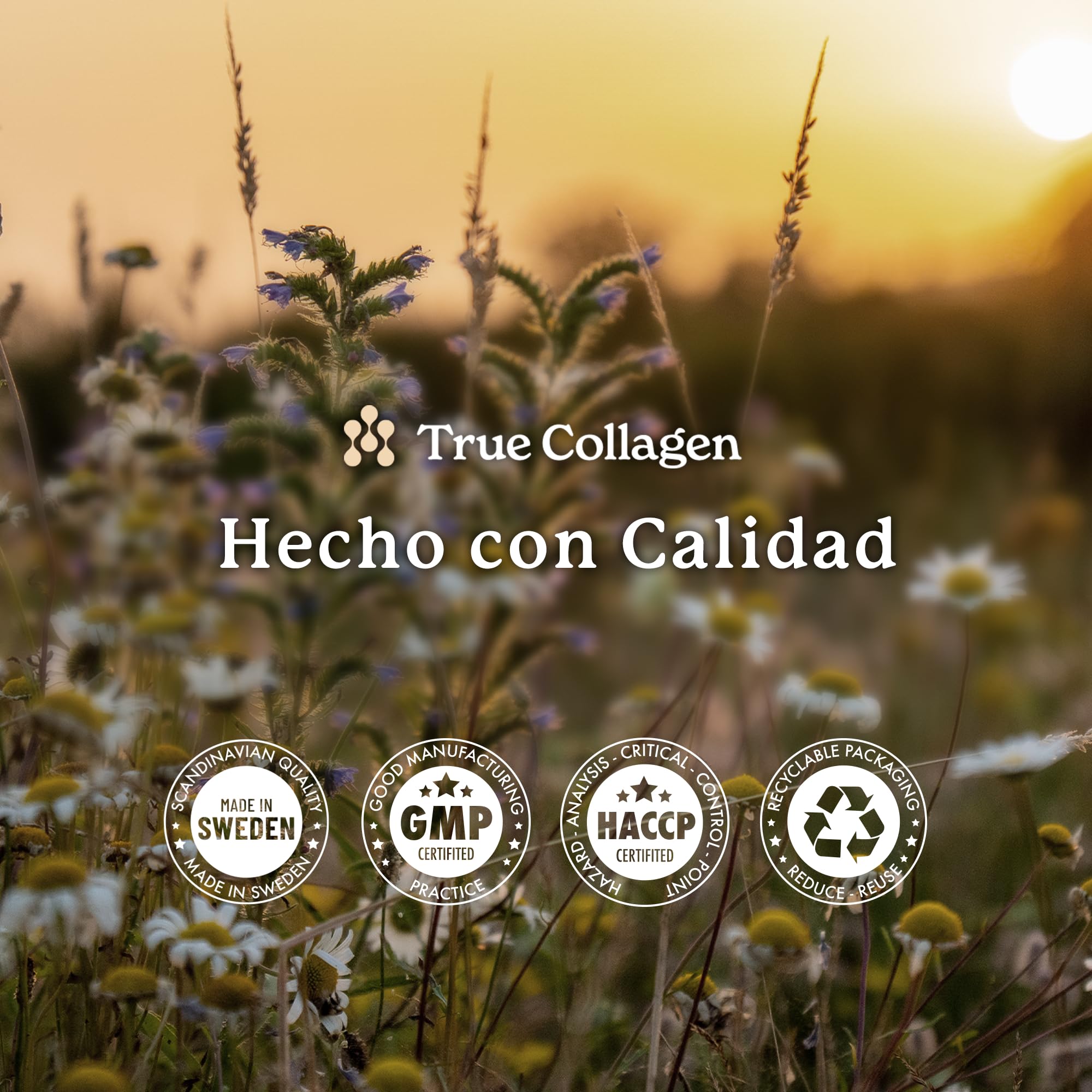 True Collagen Articulations | Complément liquide de collagène hydrolysé 10 000 mg - 2 x 500 ml 40 jours | Types I II III glucosamine MSM curcuma et chondroïtine pour des articulations des cheveux une