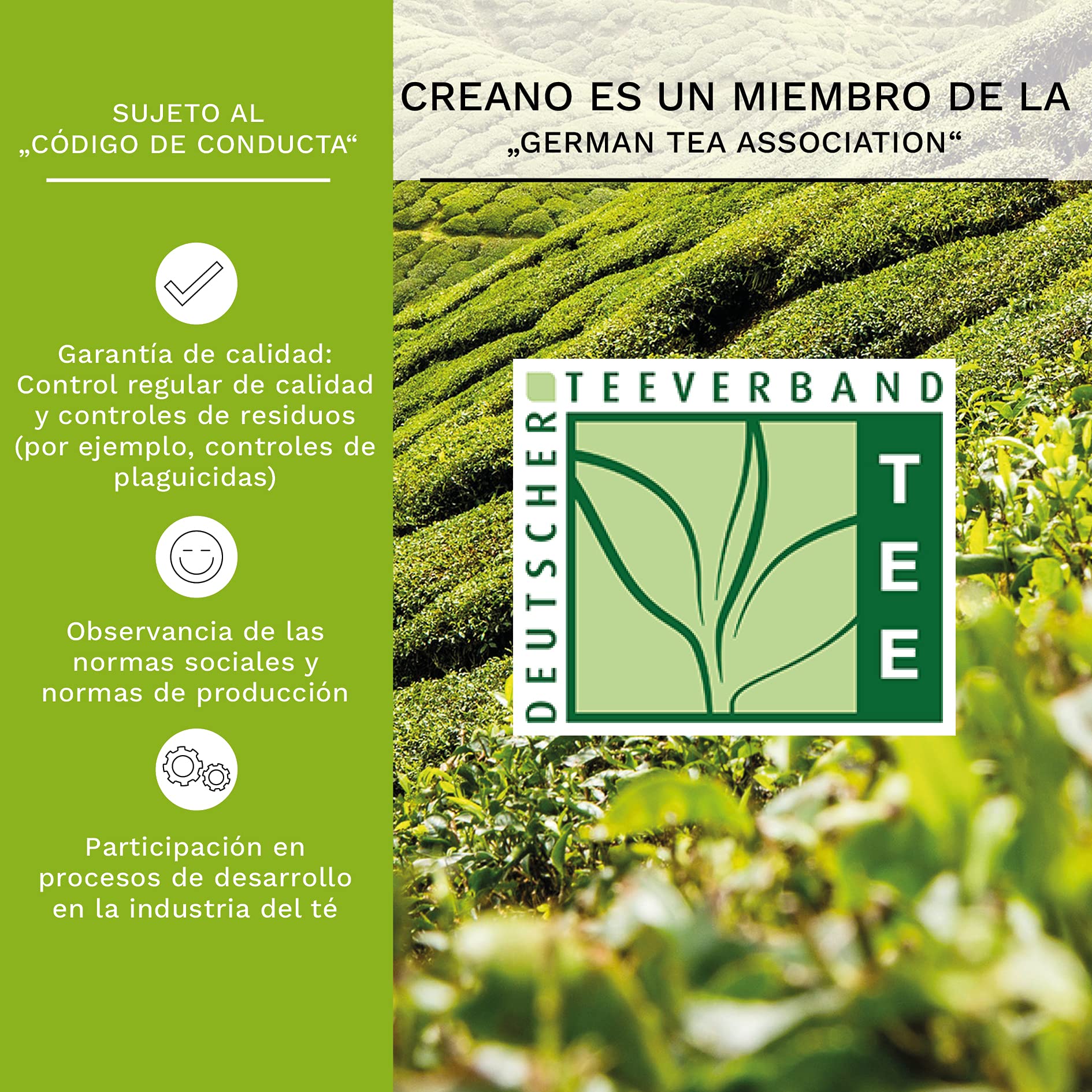 Creano Flores de Té Verde Cofre de Degustación 6 uds – Mezcla de Té Verde Frutal Aromatizado
