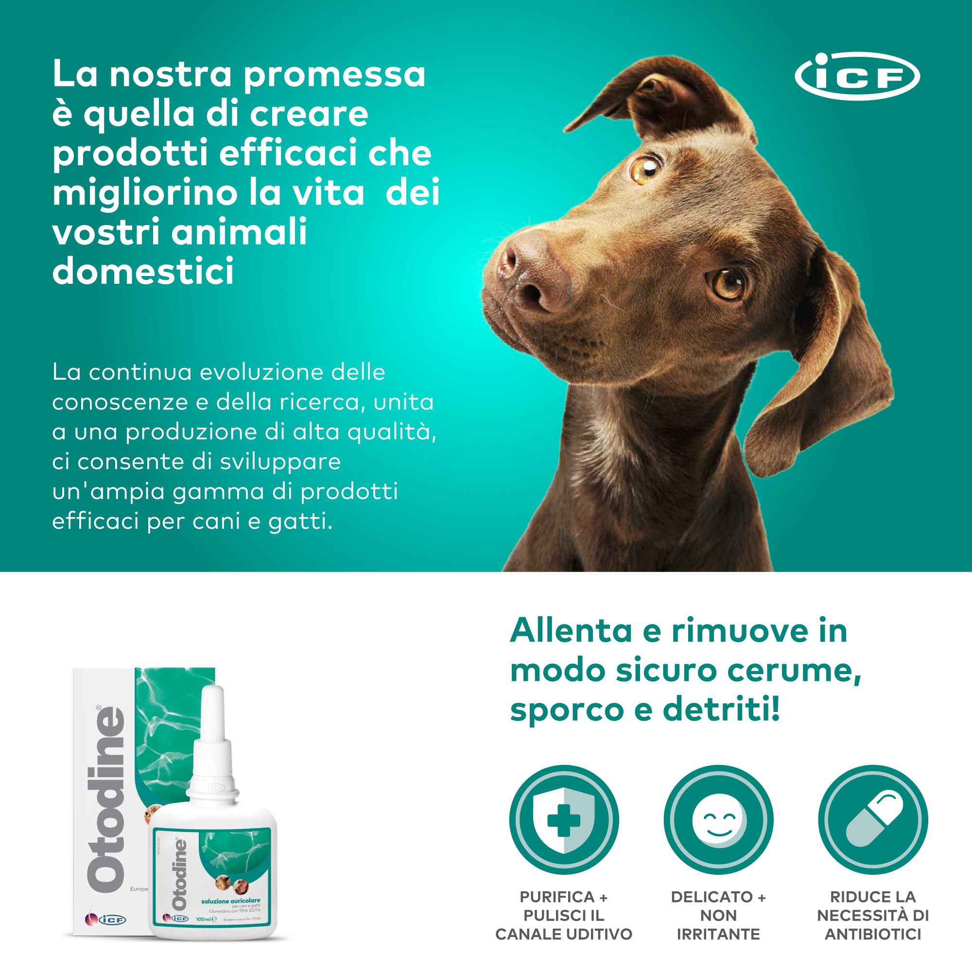 Dispenser Acqua Portatile Per Animali Borraccia Per Cani Emwel 550 Ml