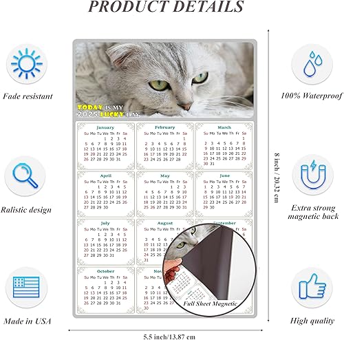 Miniatura 3 de Calendario magnético 2024  Imanes del calendario  Today is my Lucky Day  Resistente a la decoloración, desgarros y agua  Temática de gato 1 (7 x